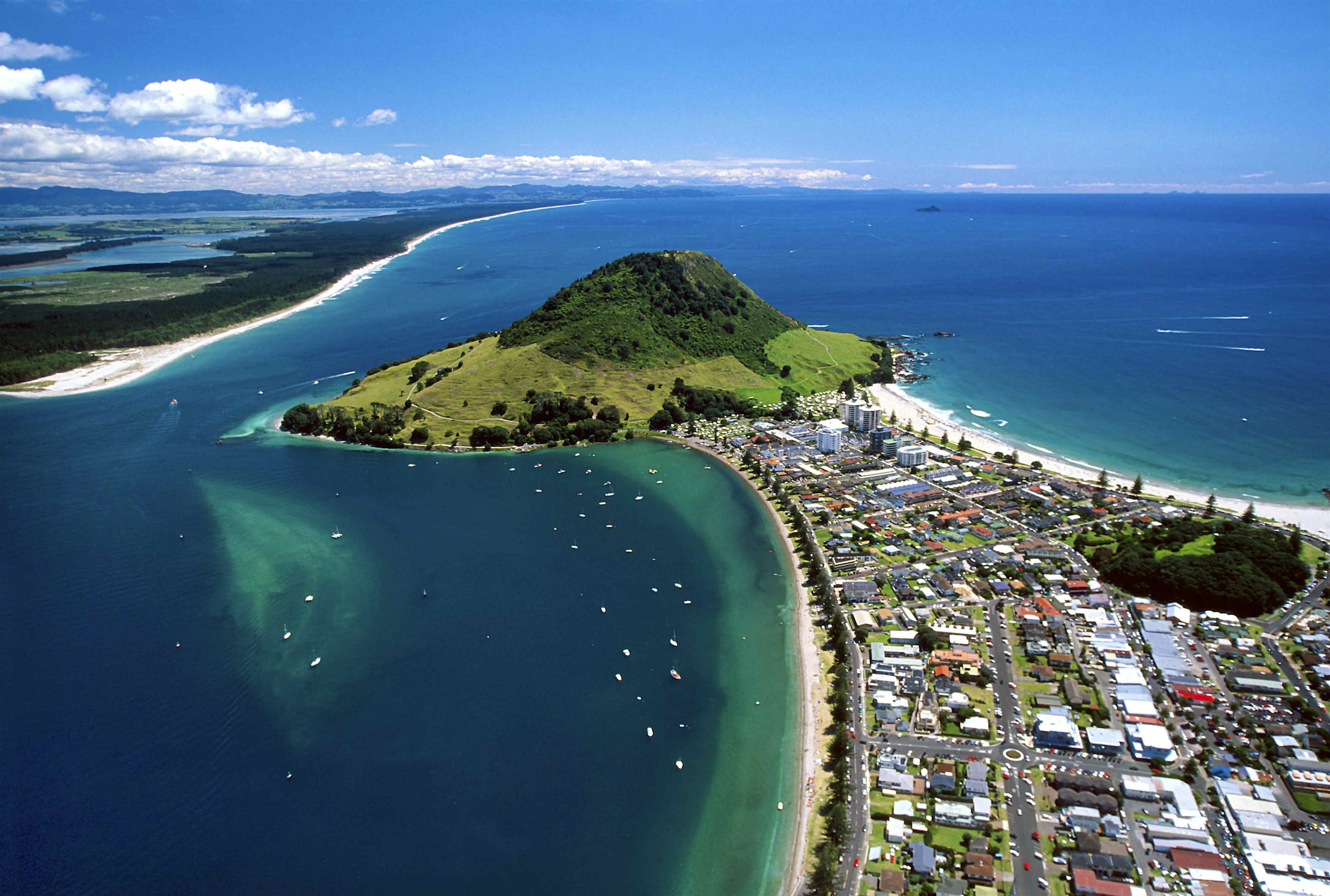 new zealand north island group tours