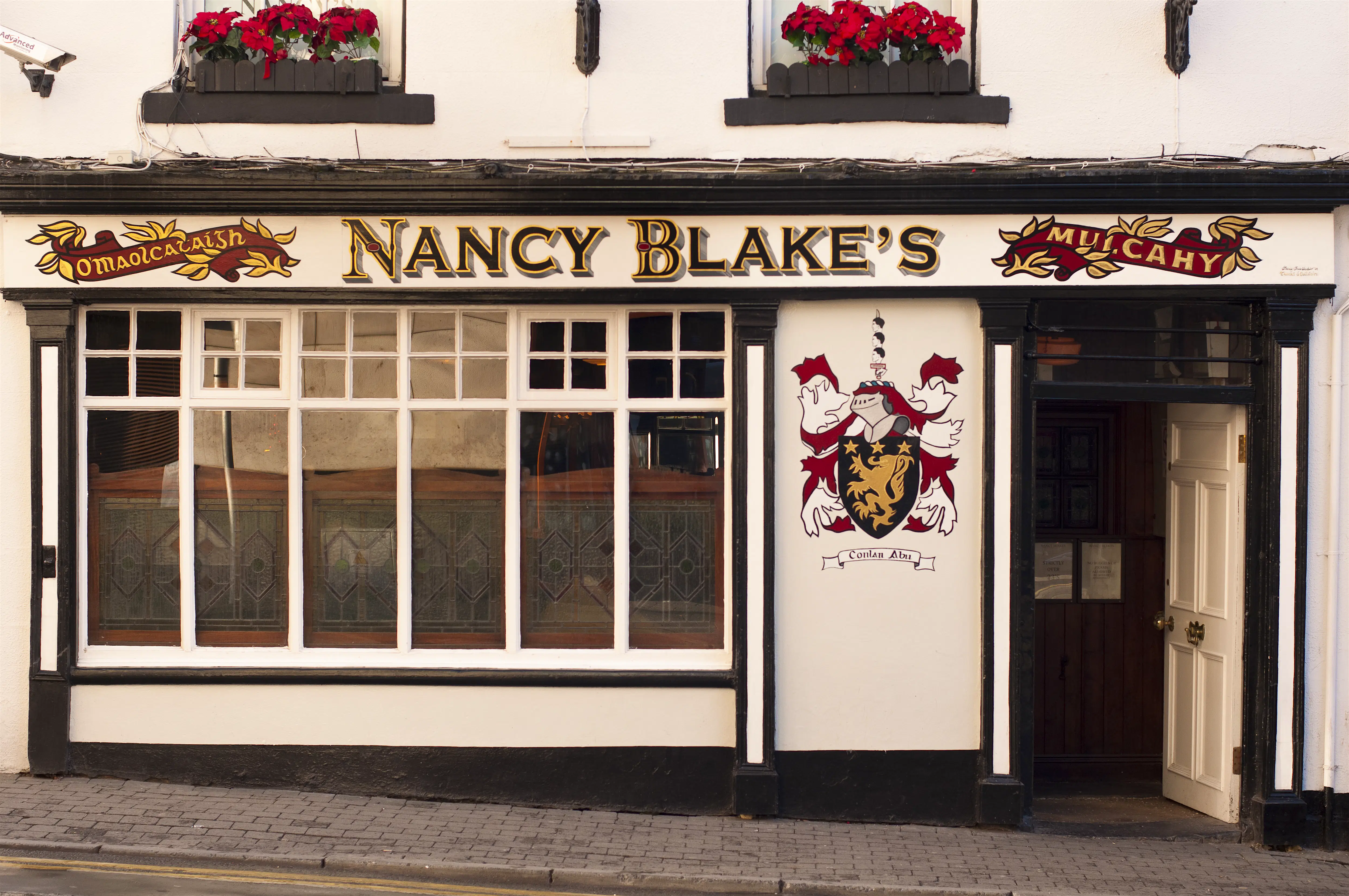 denmark-street-limerick.jpg The white plaster and dark wood Tudor exterior of Nancy Blake's pub on Denmark Street in Limerick is decorated with a heraldic crest, two mottos in Gaeilge, and window boxes full of bright red flowers