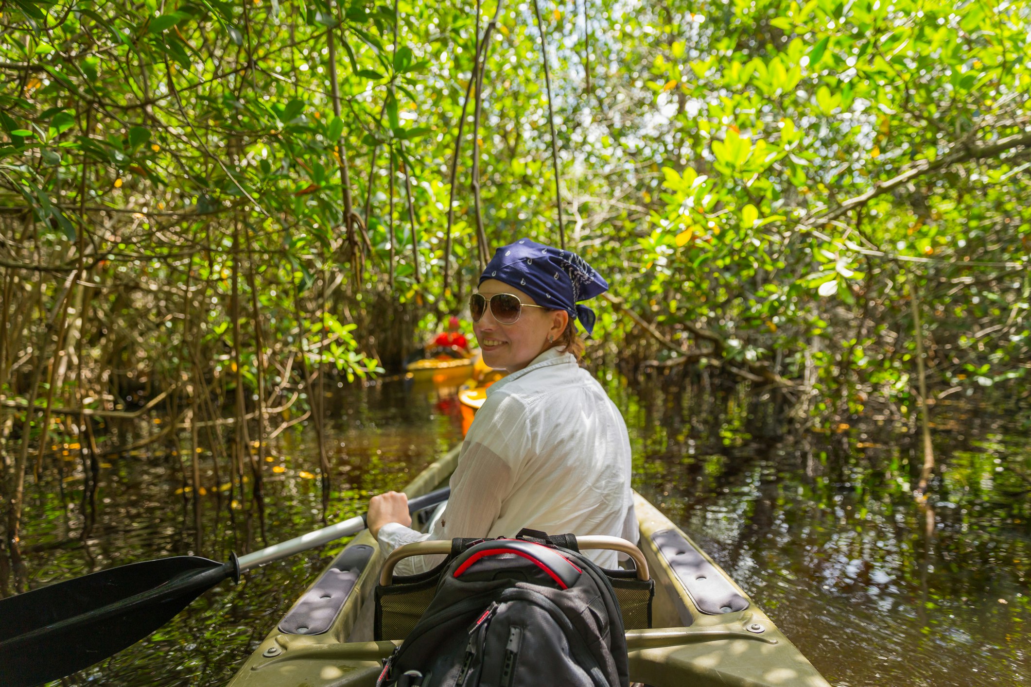 Tourist kayaking in mangrove forest 
