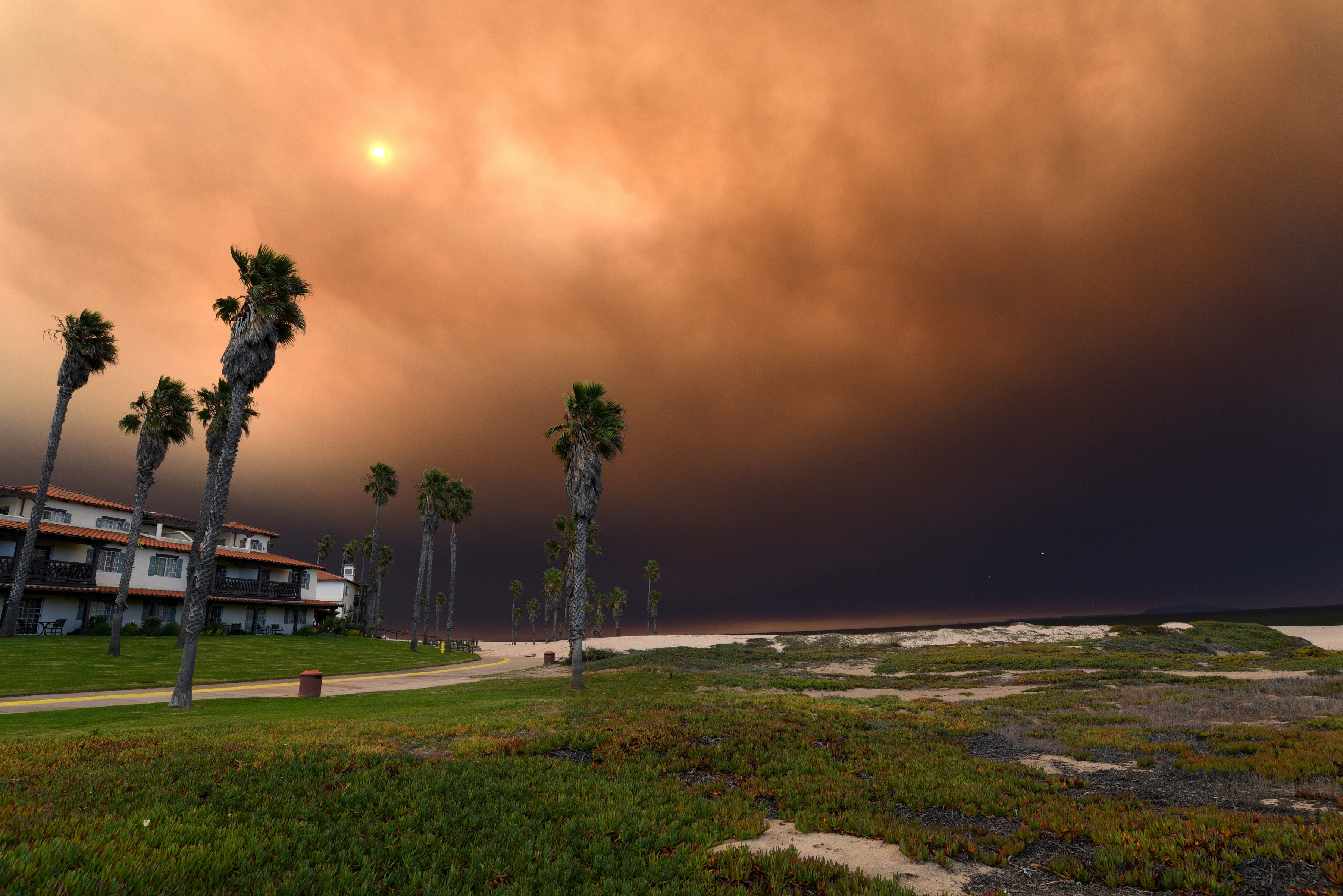 a smoky sky with an orange glow over a beach bike path lined with palm trees with a white hotel in the background