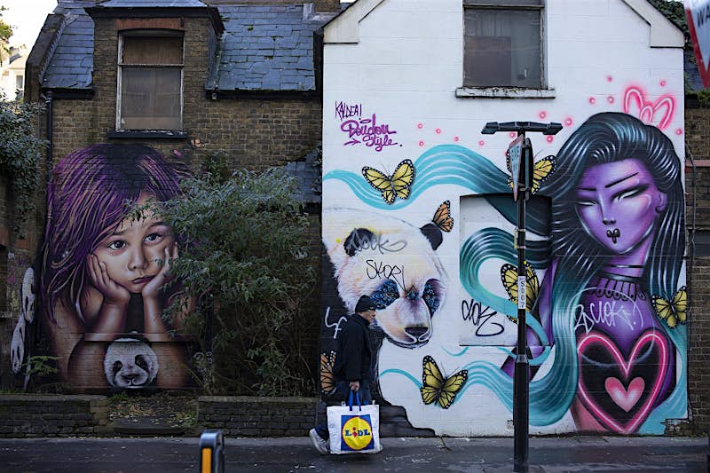 Croydon street art A man carrying a Lidl shopping bag walks past a dilapidated-looking house with its walls covered in street art, including pandas, yellow butterflies, and a woman with purple skin and flowing turquoise hair.