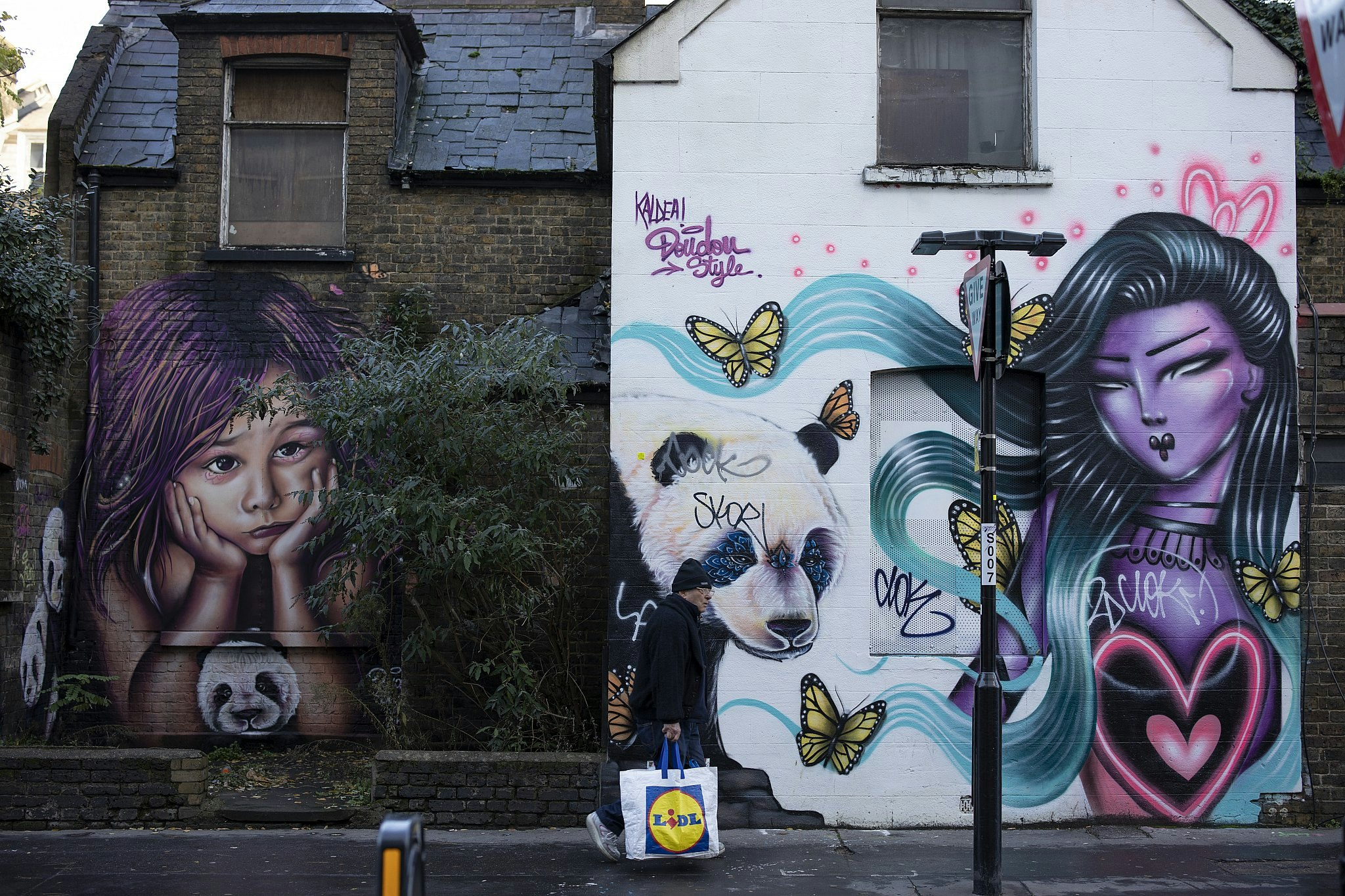 A man carrying a Lidl shopping bag walks past a dilapidated-looking house with its walls covered in street art, including pandas, yellow butterflies, and a woman with purple skin and flowing turquoise hair. 