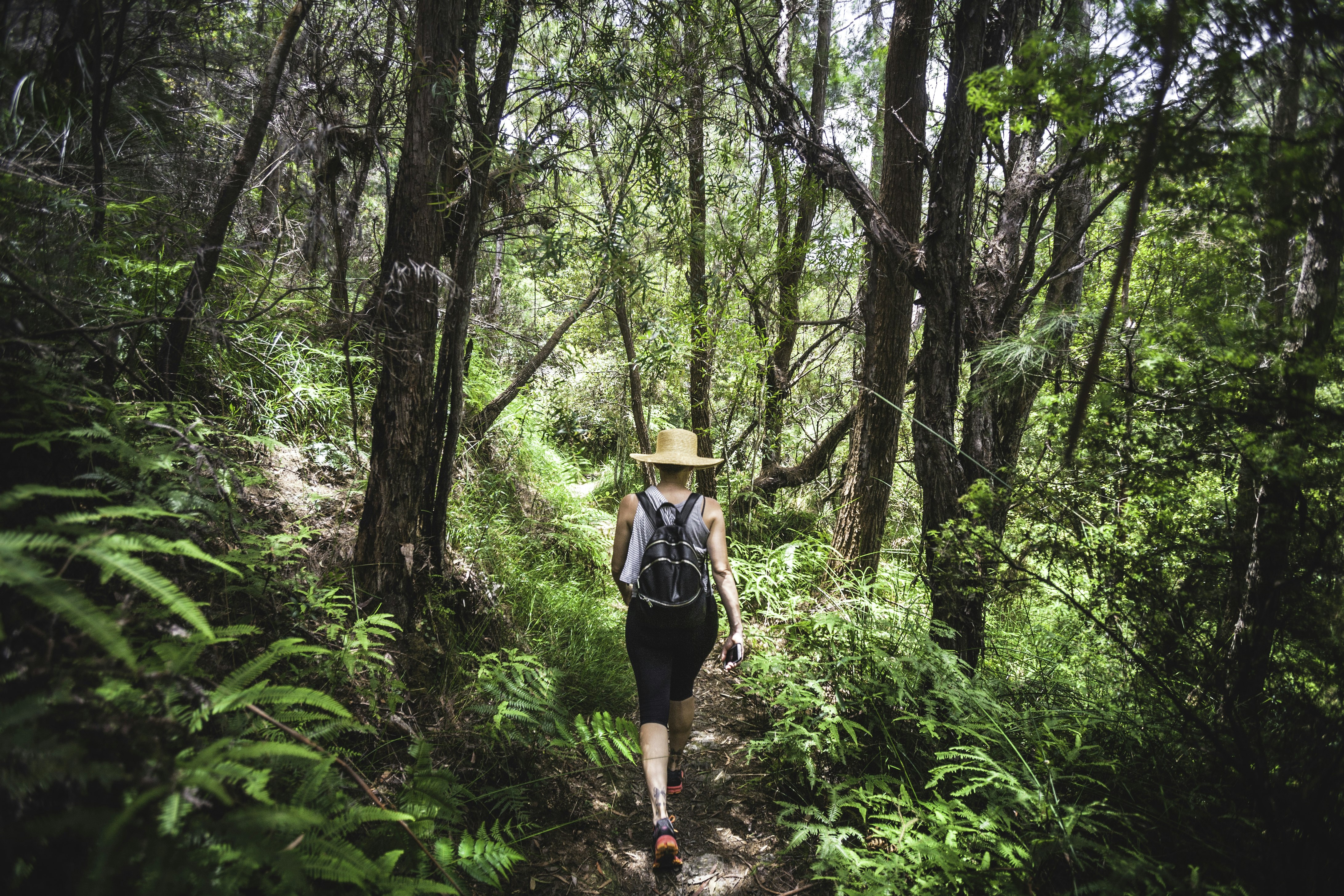 A woman is walking on a narrow trail through the undergrowth in Lamington National Park, Queenland.