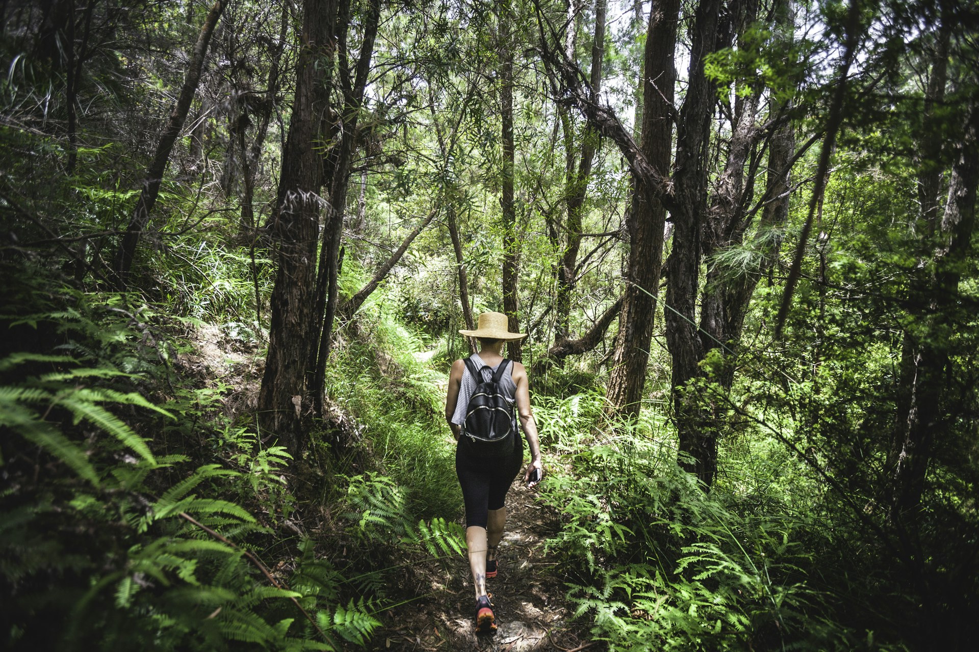 A woman is walking on a narrow trail through the undergrowth in Lamington National Park, Queenland.