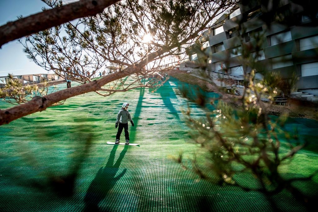 Young snowboarder zips down an artificial slope with trees