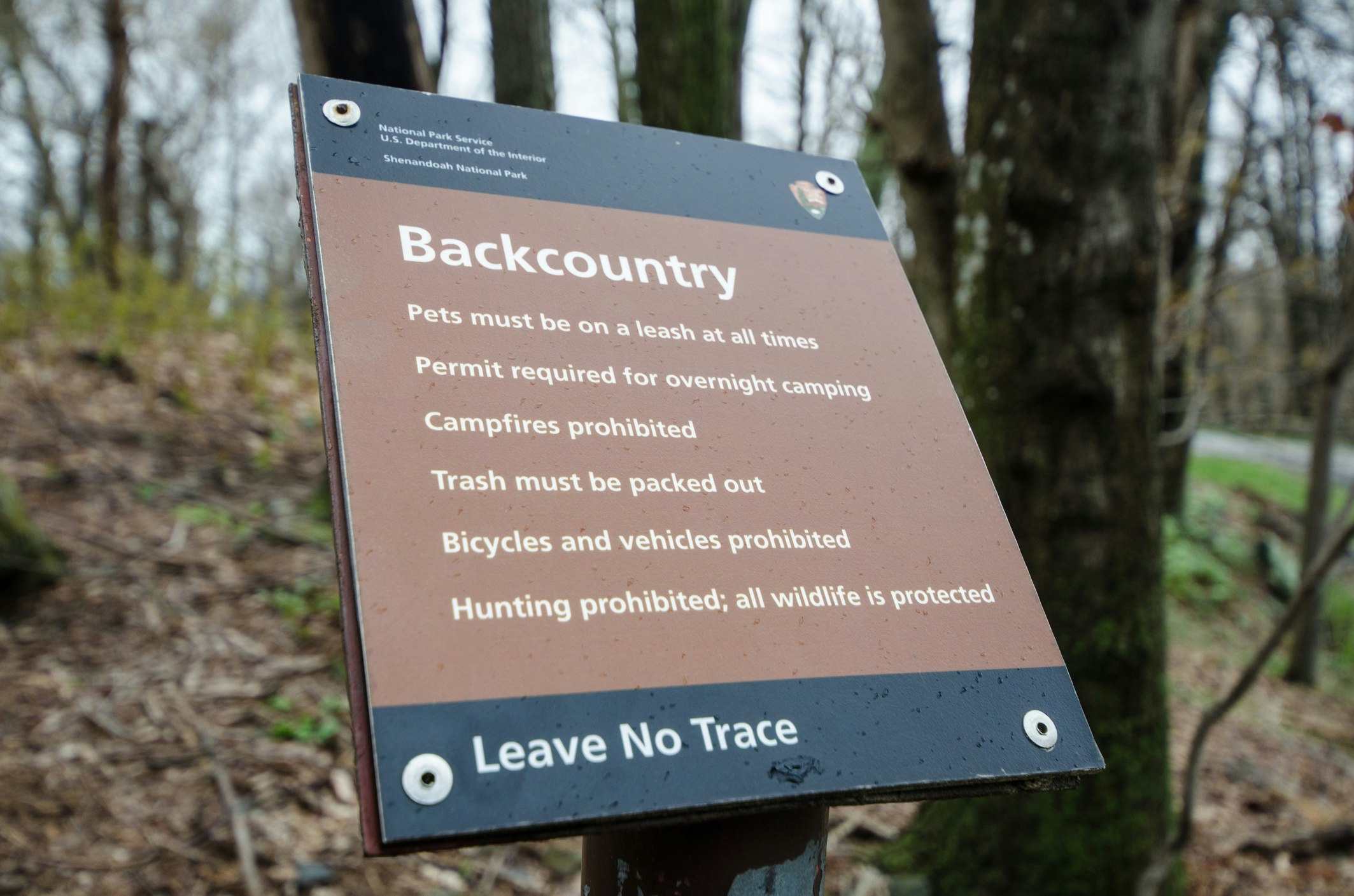A brown sign with a white sans serif font explains Leave No Trace rules for backcountry camping in Shenandoah National Park, including leashing pets and not lighting campfires.