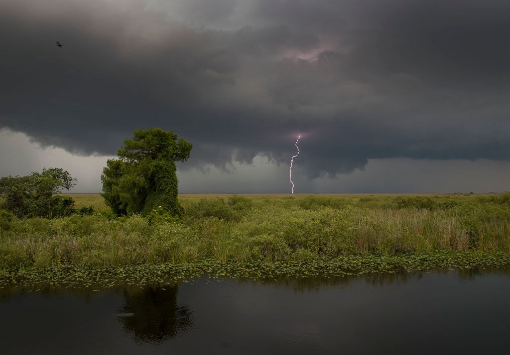 A bolt of lightening over the Florida Everglades