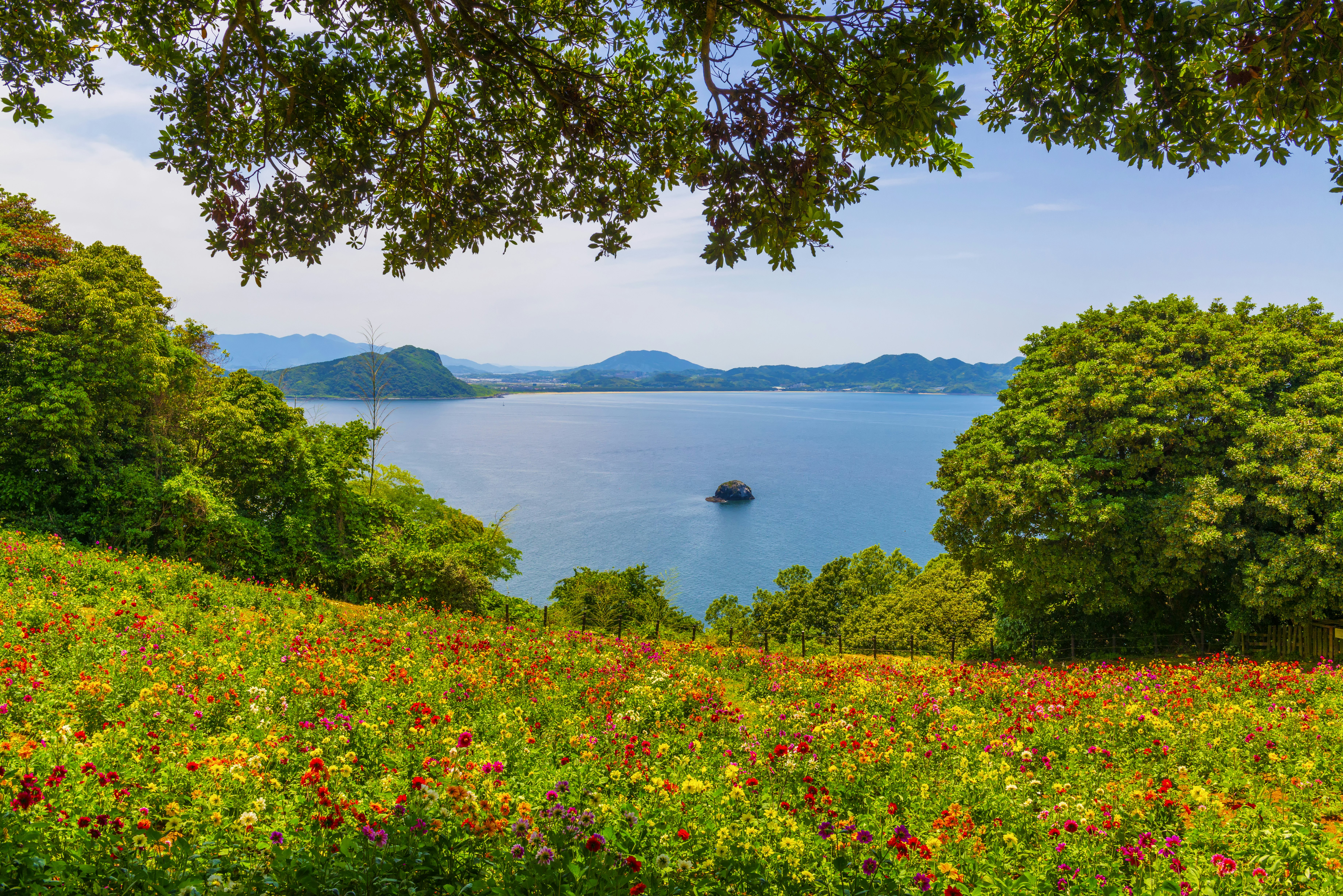 A view out to sea from Nokonoshima Island Park, with trees and a meadow of colourful wildflowers in the foreground, and part of a rocky coastline in the distance.