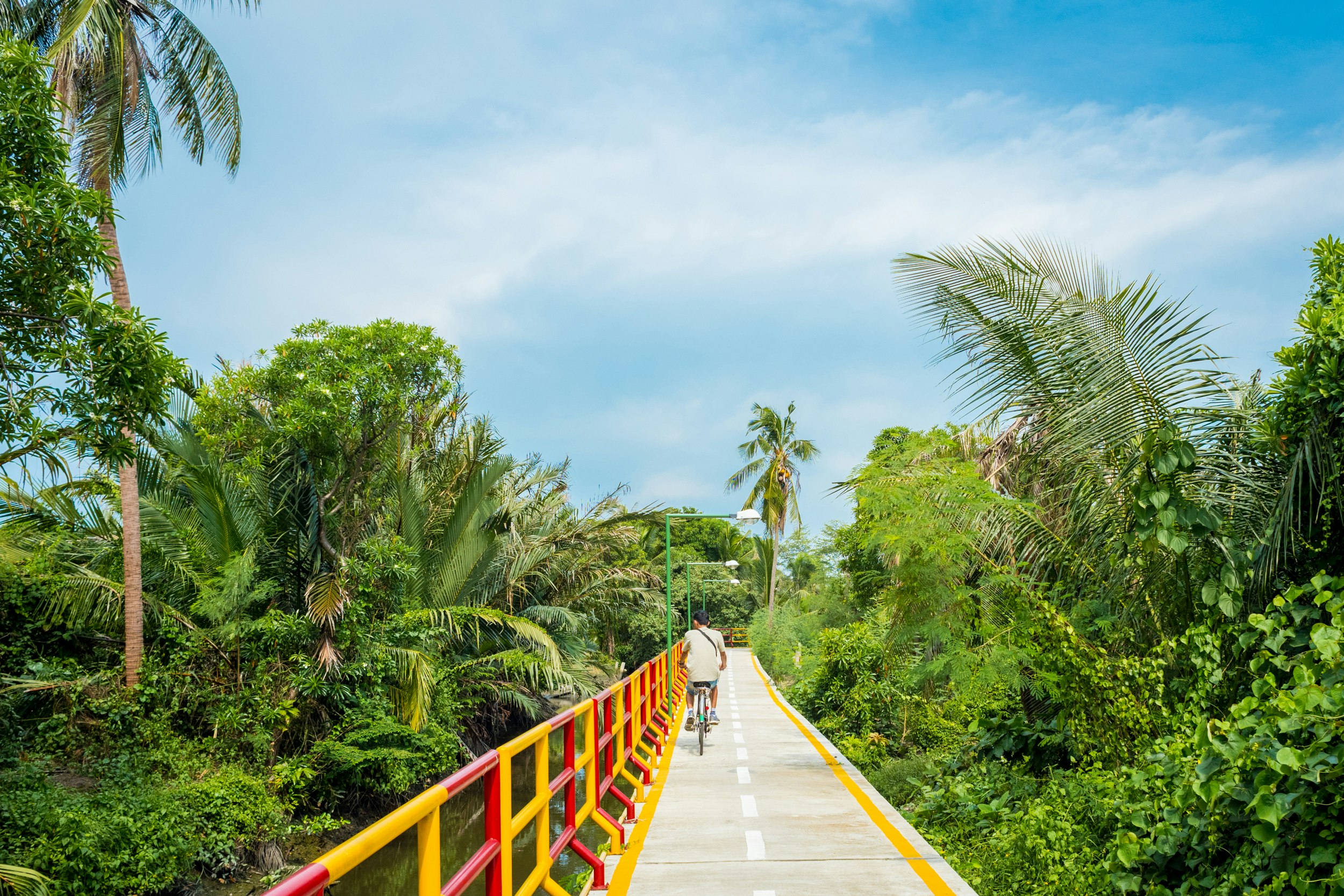 A cycle path with yellow-and-red railings stretches into the distance. Palm fronds and other green plant life surrounds the pathway