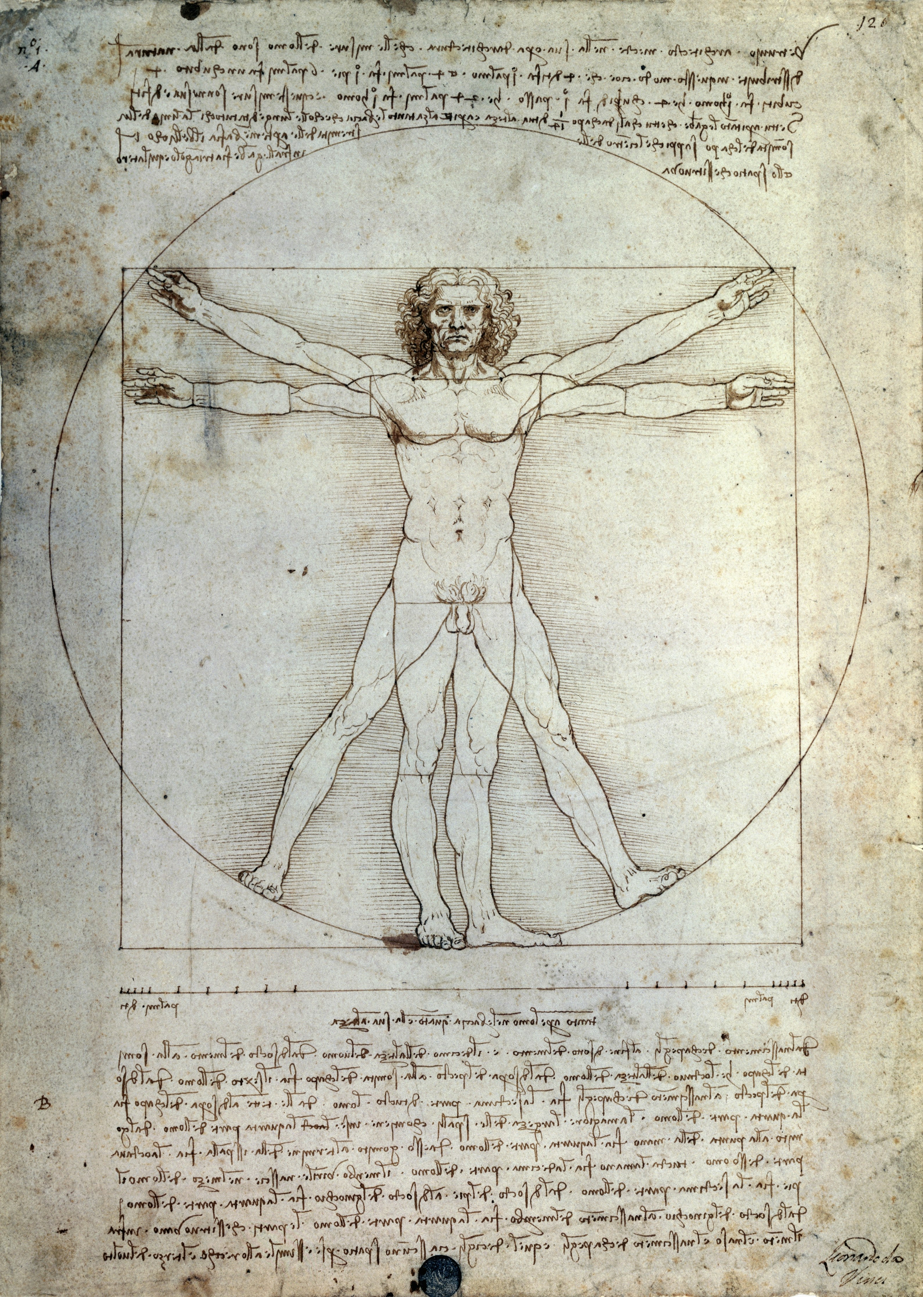 itruvian Man, 1490, by Leonardo da Vinci (1452-1519), pencil and ink on paper, 34x24cm