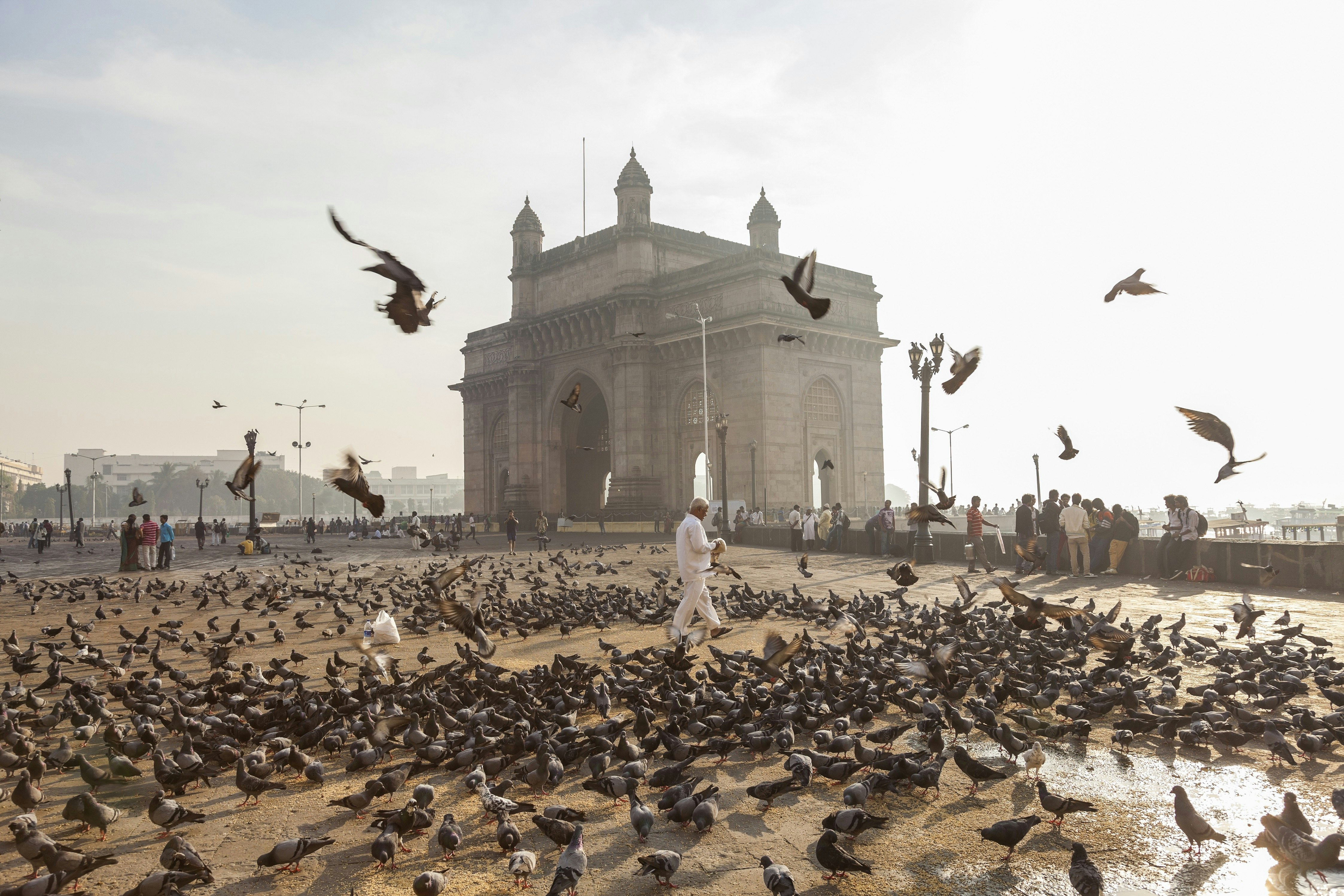 A lone figure, dressed all in white, walks through a flock of pigeons in front of the Gateway of India, a monumental stone arch, in Mumbai. Some of the pigeons have taken flight around the figure.