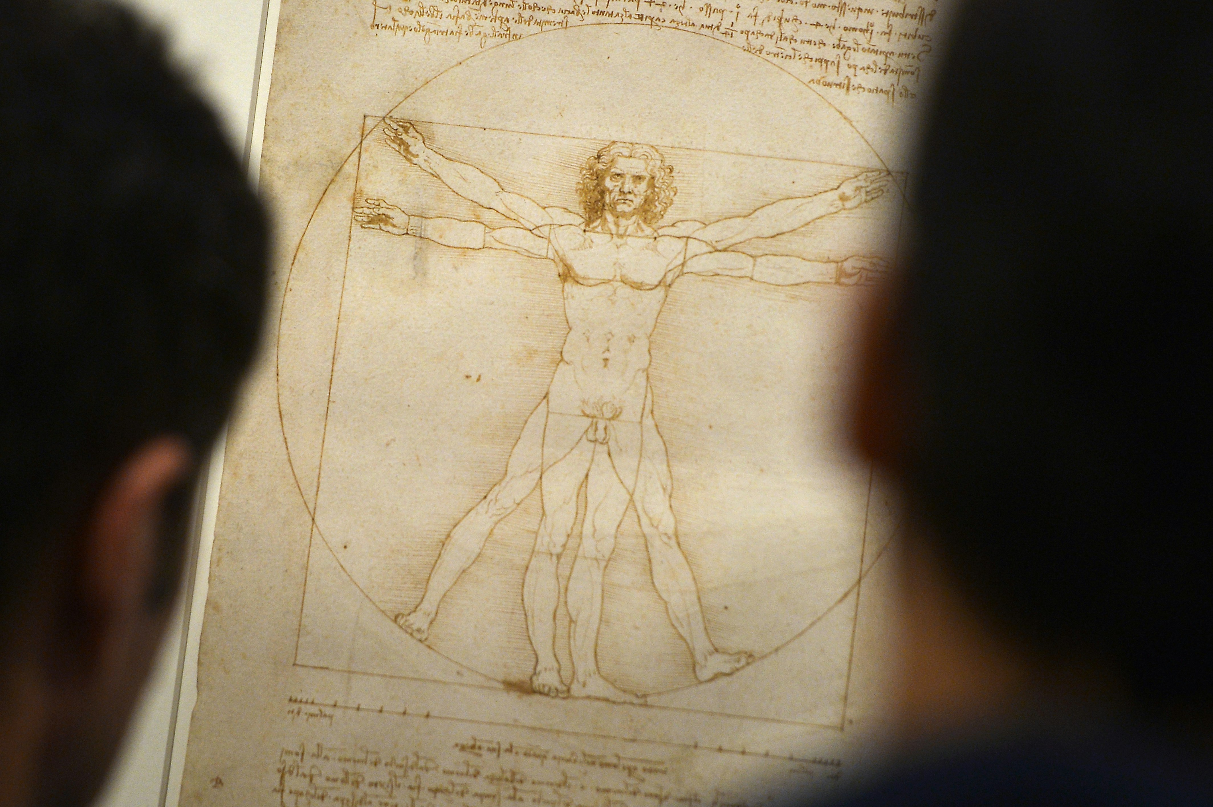People look at the "Vitruvian Man" a drawing by Leonardo da Vinci, on August 2ç, 2013 in Venice. 