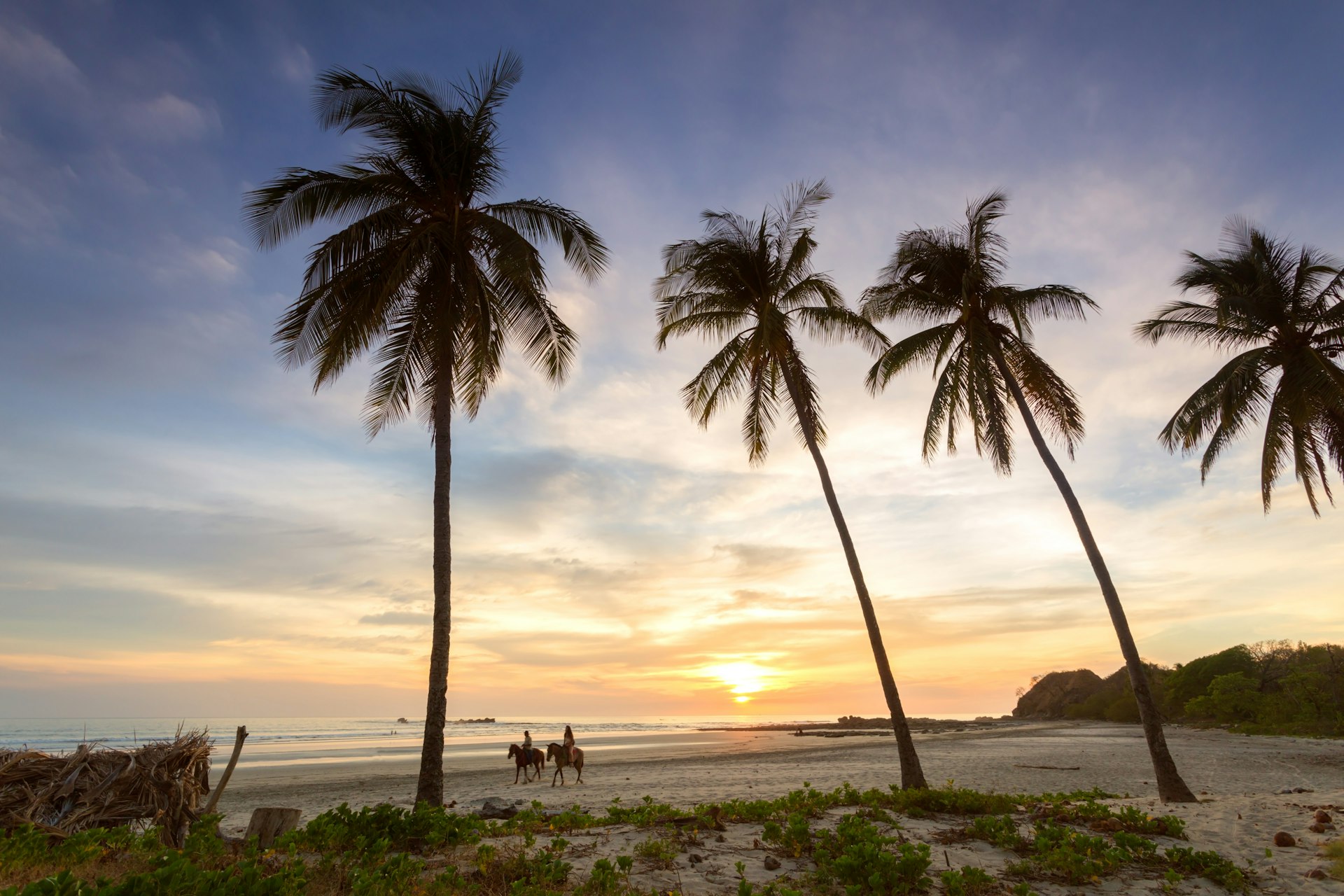 Two people ride horses along a beach at sunset with palm trees towering overhead