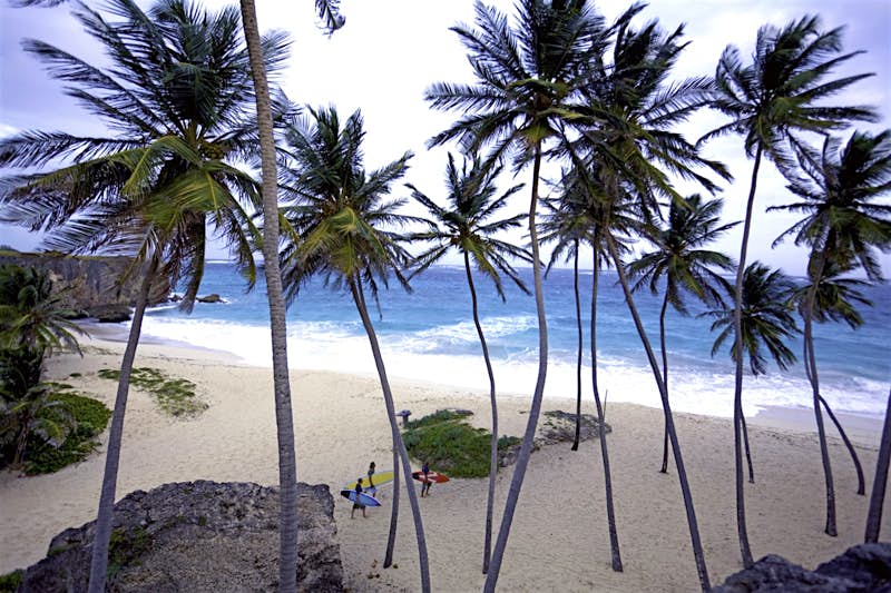 Three people run down a beach under towering palm trees with surf boards