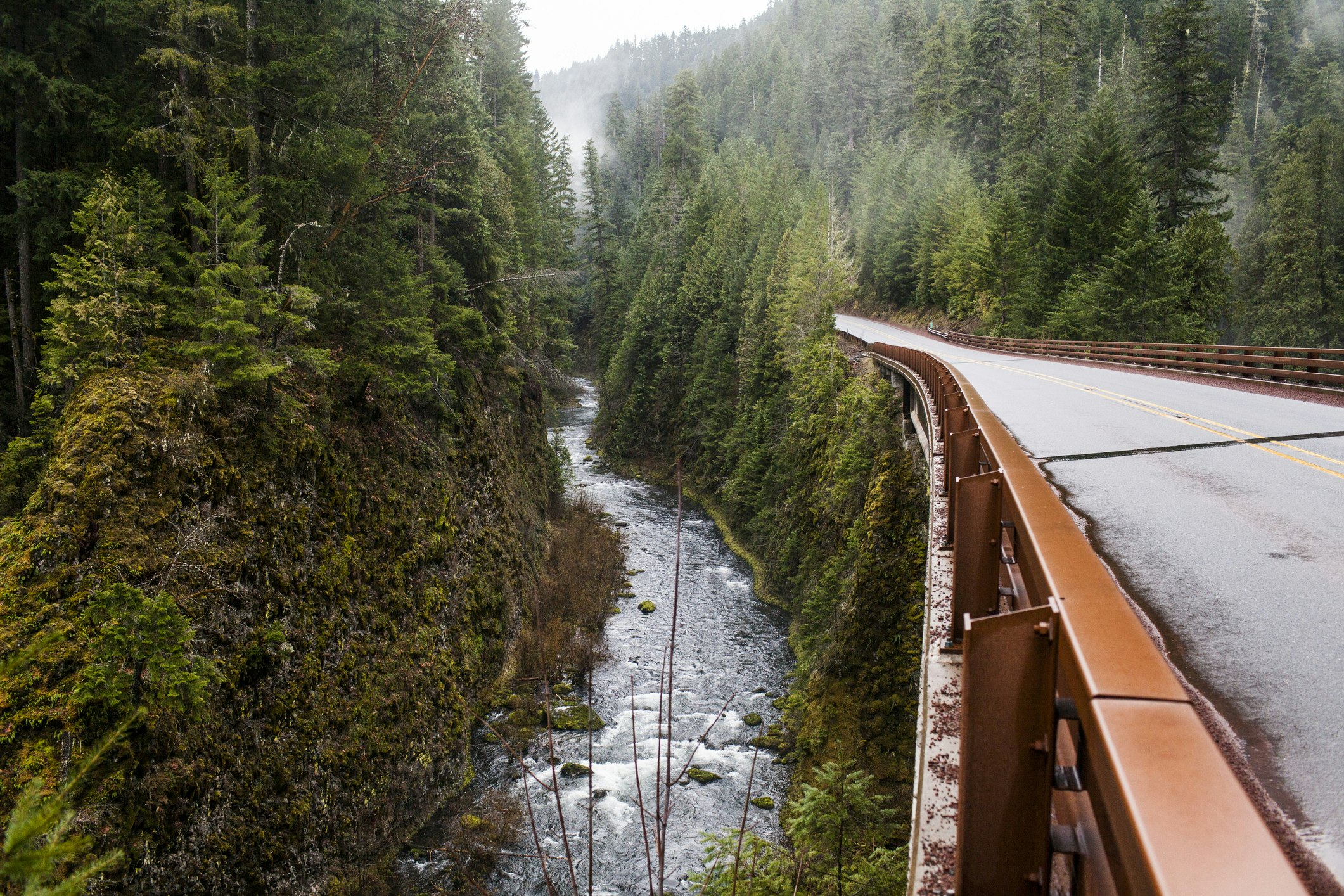 A long stretch of paved two-lane road slick with fresh rain and edged with coppery metal guardrails overlooks the Umpqua River far below, which is edged thick and close with tall evergreen trees. The river itself is a deep navy blue with white caps near the rocks. A thick mist fills the narrow corridor created by the river and the road.