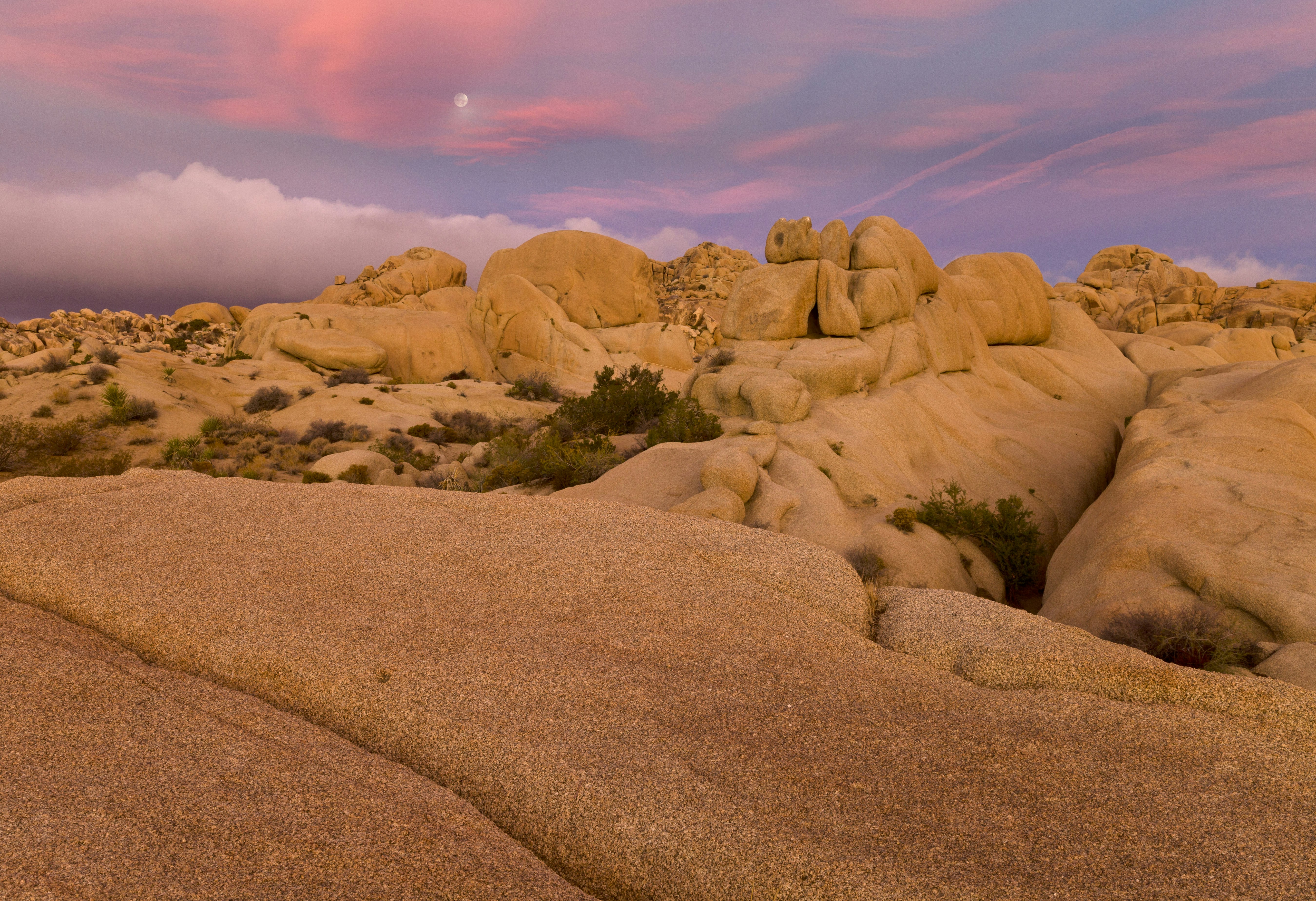 A pastel pink and lavender sunset tints the sky over the jumbo rocks in buff, tan, and light orange shades that make up the desert floor of Joshua Tree National Park