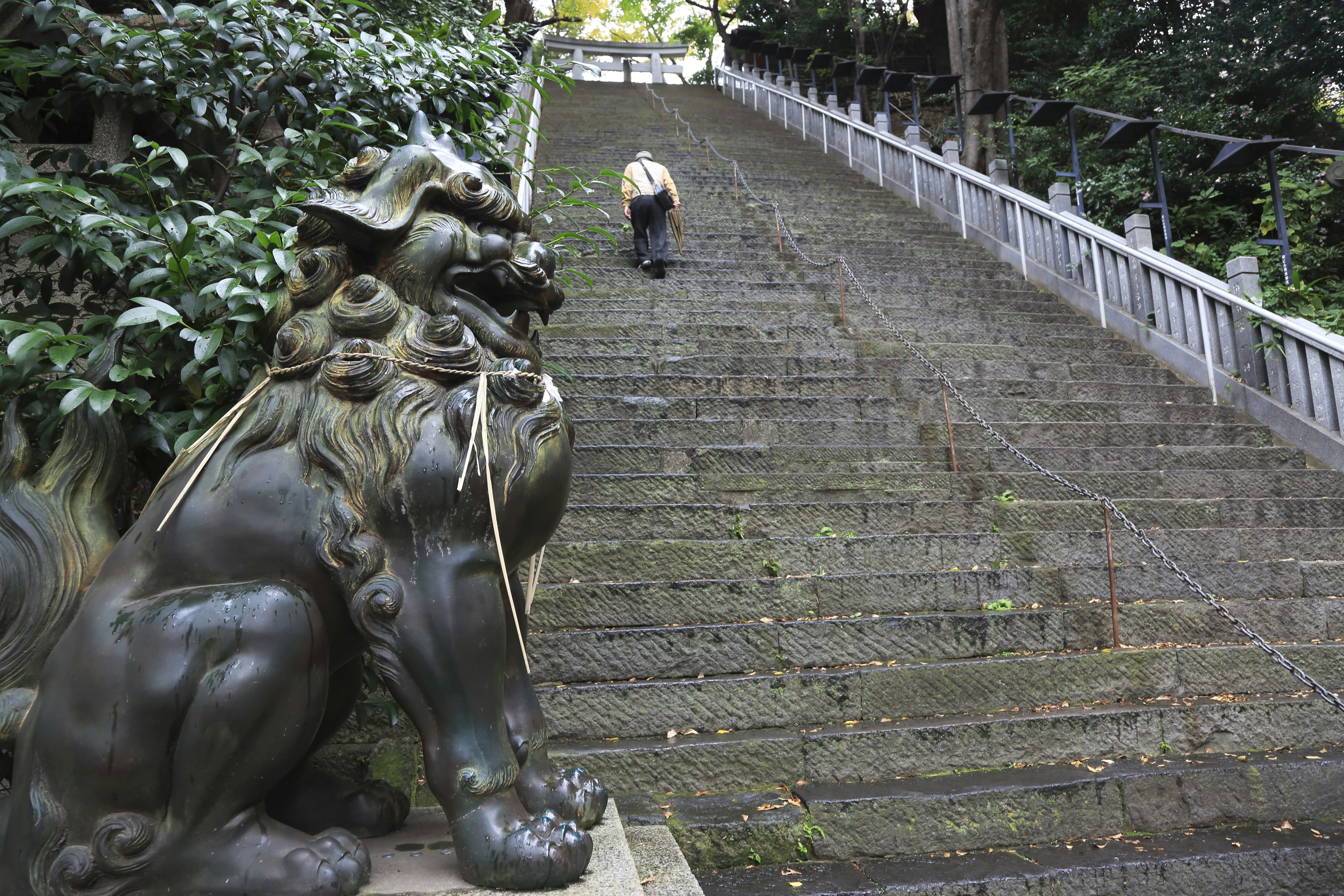 A man climbs a long set of concrete steps stretching upwards. At the top is the gateway to Atago Shrine, near Kyoto