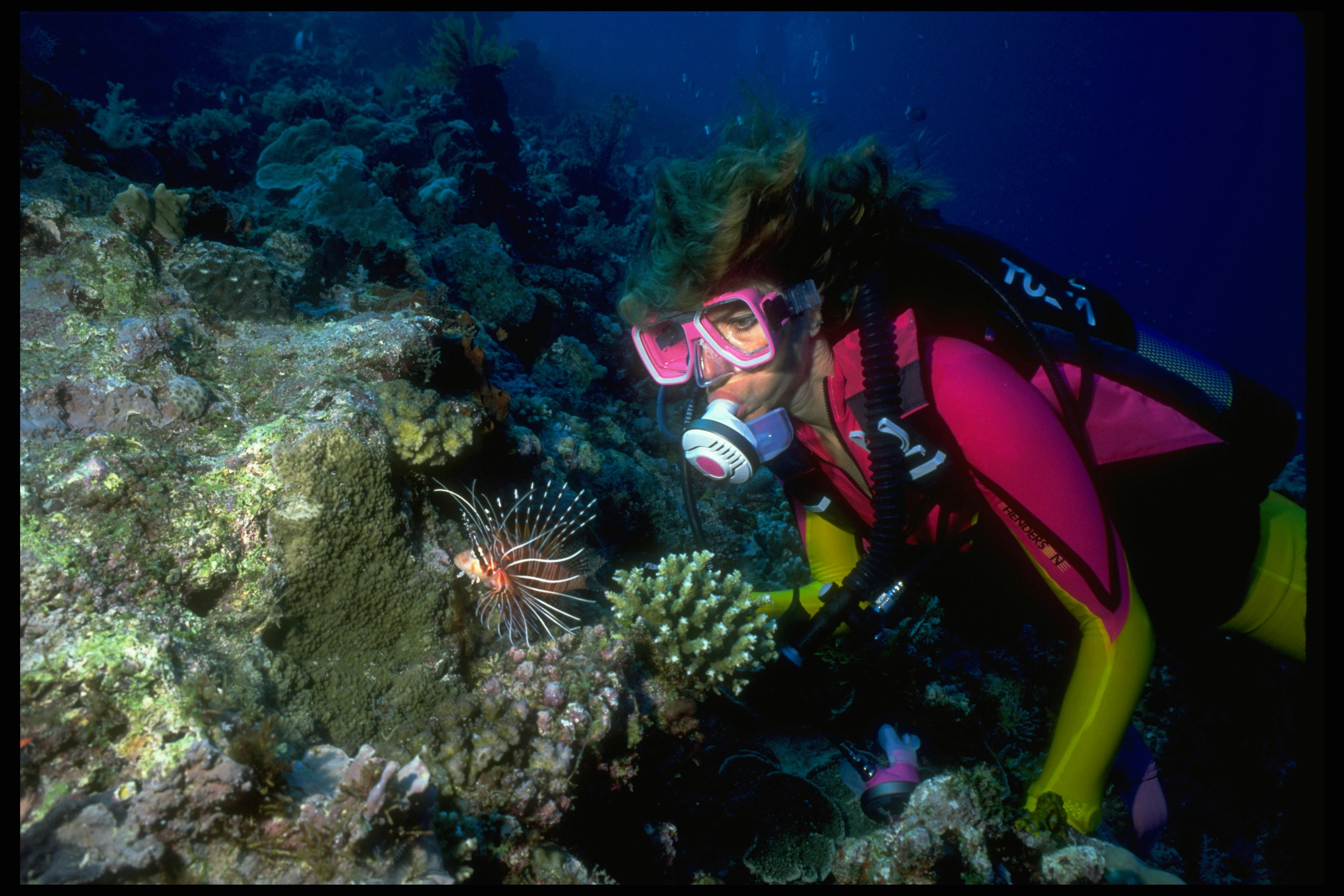 A woman in a neon pink and yellow wetsuit and pink goggles stares at an orange and white lion fish that is swimming alone over a green, grey, and white reef in Kenya 