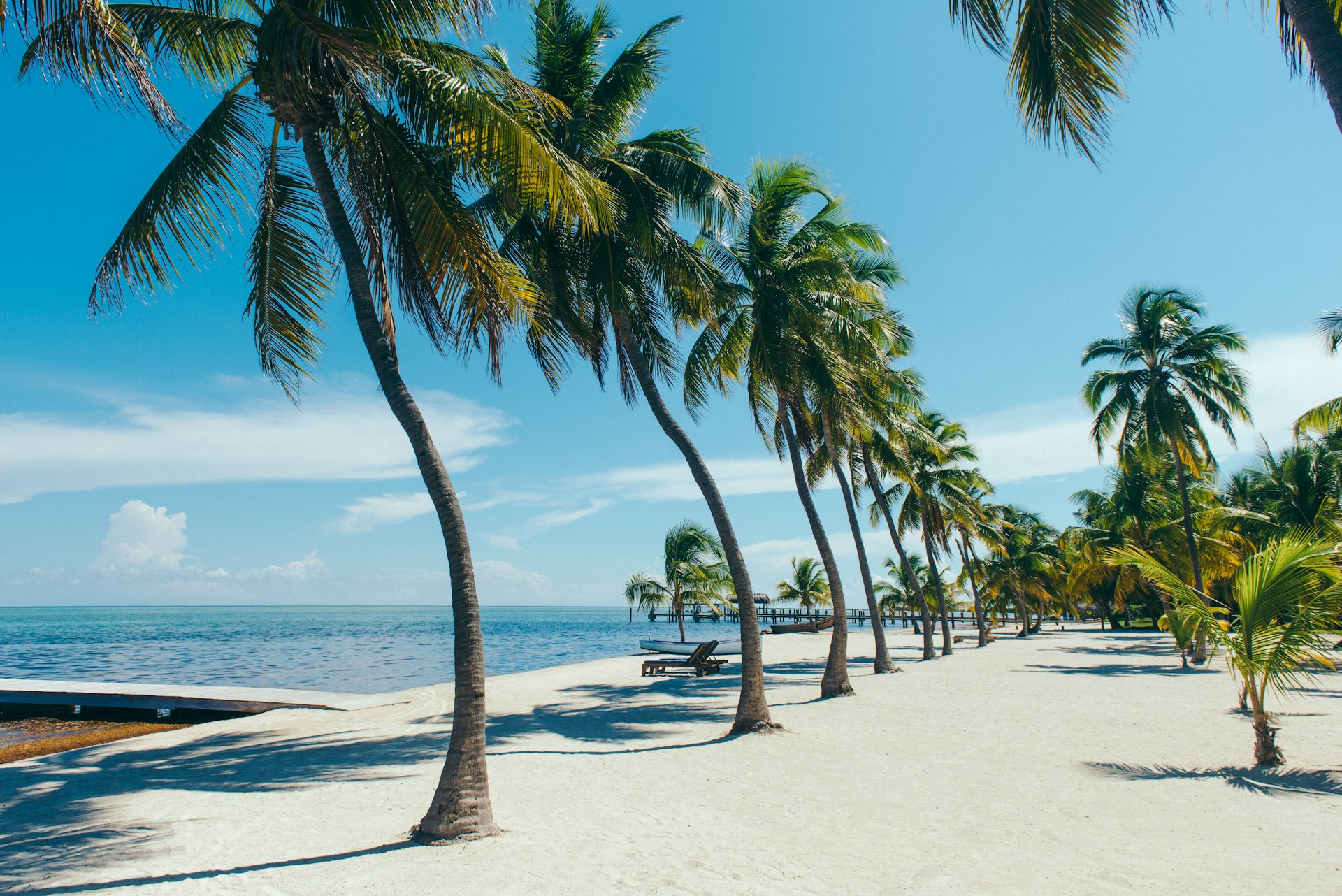 A row of palm trees on a fine, white-sand beach near turquoise water with small ripples -- a placid beach-side scene in Islamorada, Florida