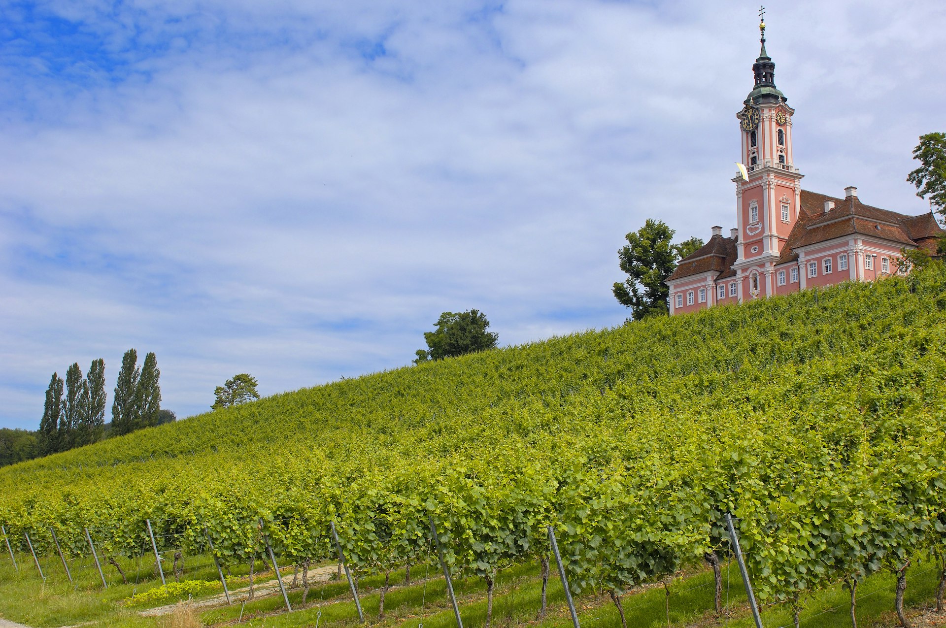 A bright pink monastery in Birnau with white baroque details and a green copper roof and gold clock on the tower and orangy red mansard roof on the two wings flanking the tower overlooks bright green vineyards 
