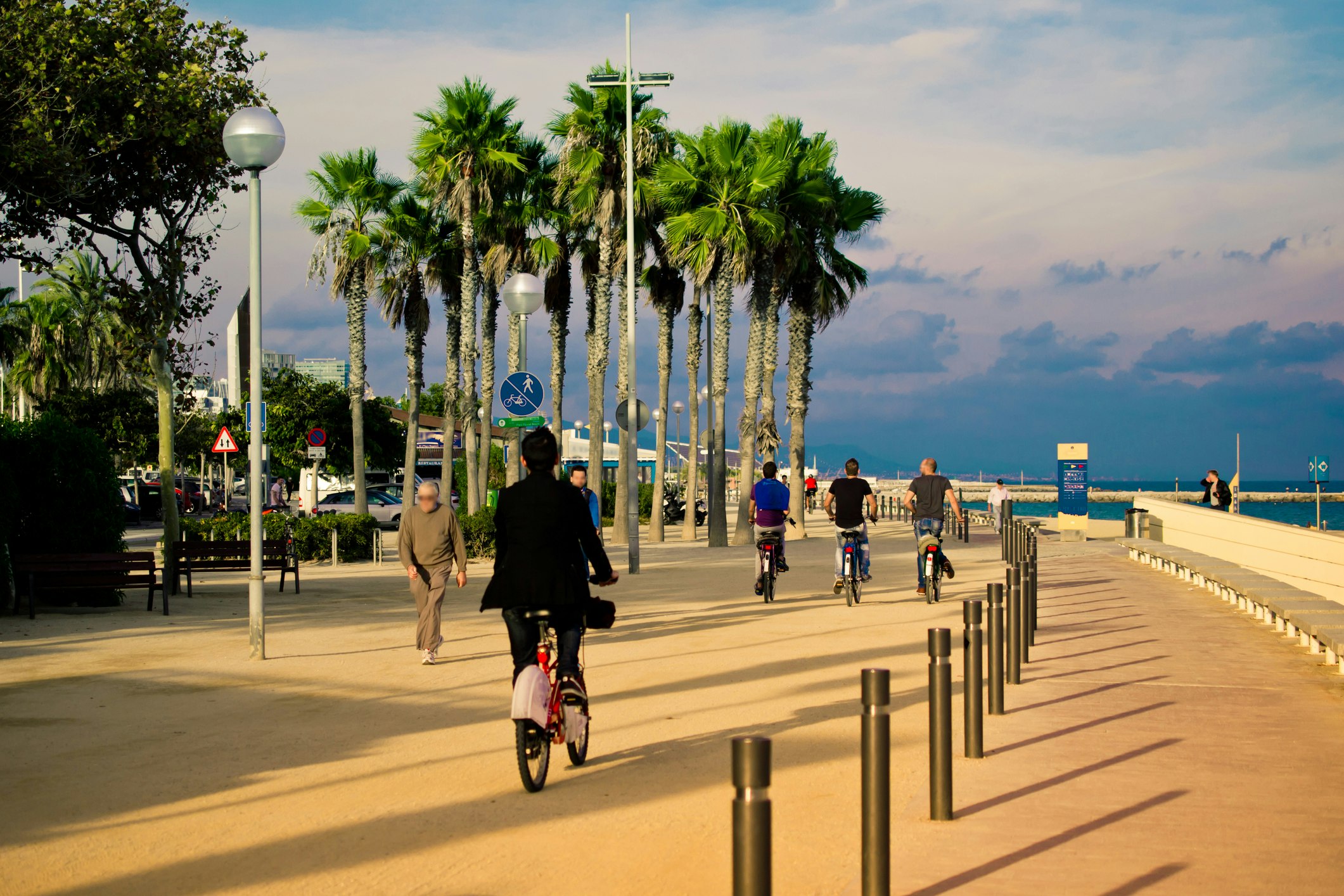 People Cycling By Trees Against Sky