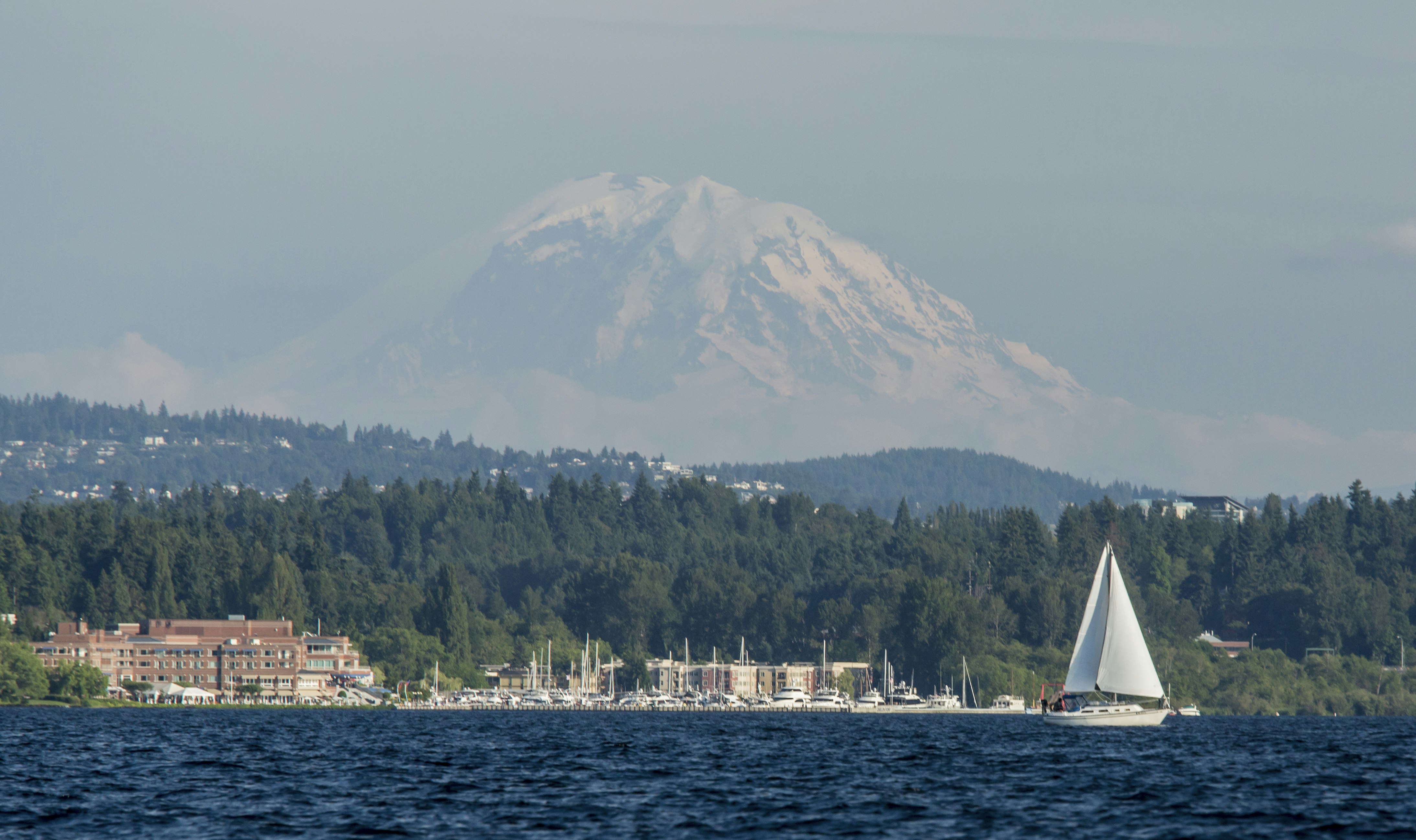 Mt. Rainier rises over Lake Washington with a white sailboat in the foreground.