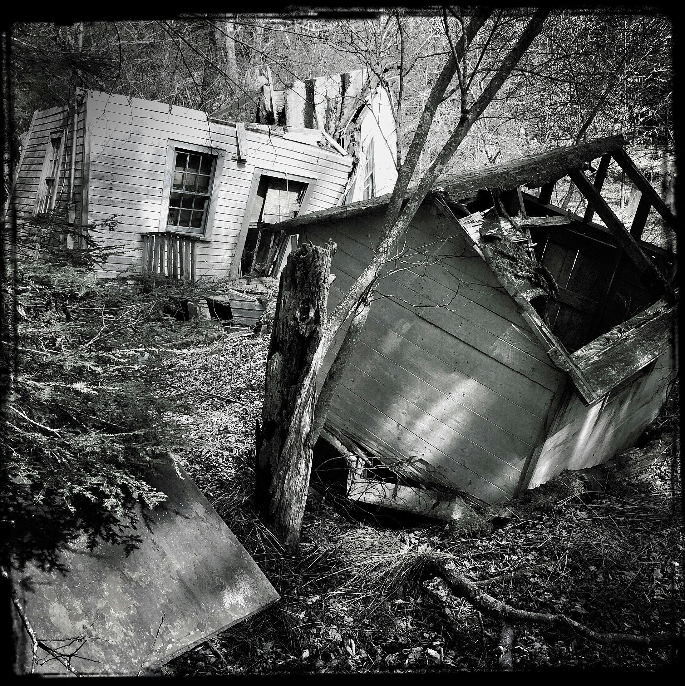 Two bungalows in Sullivan County, New York are collapsing in this black and white photo of a former resort town in the Catskills. Neither building has a complete roof any more, and both are listing to the side like rotting Halloween pumpkins. All around them, trees and undergrowth and taking over.