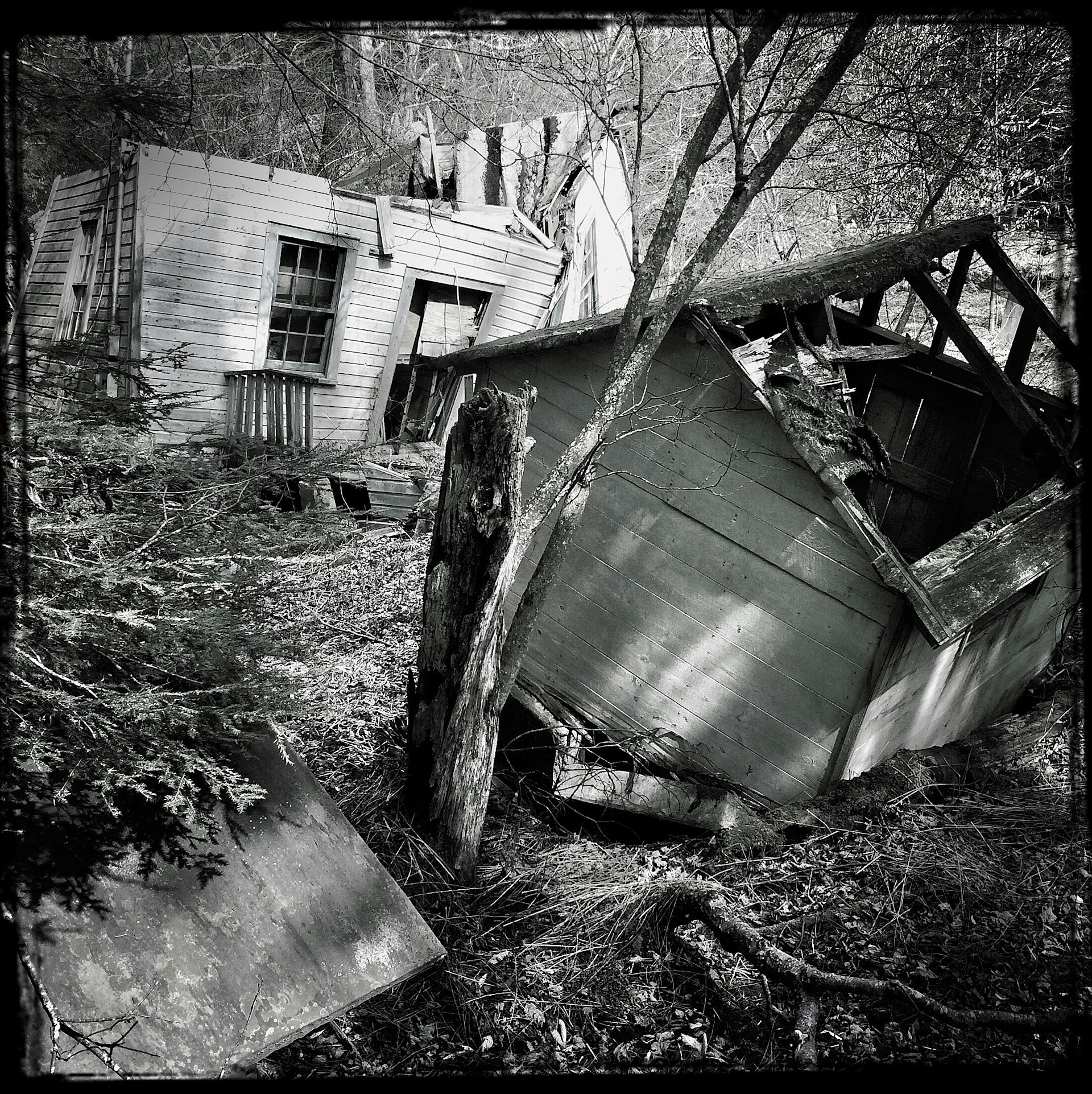 Two bungalows in Sullivan County, New York are collapsing in this black and white photo of a former resort town in the Catskills. Neither building has a complete roof any more, and both are listing to the side like rotting Halloween pumpkins. All around them, trees and undergrowth and taking over.