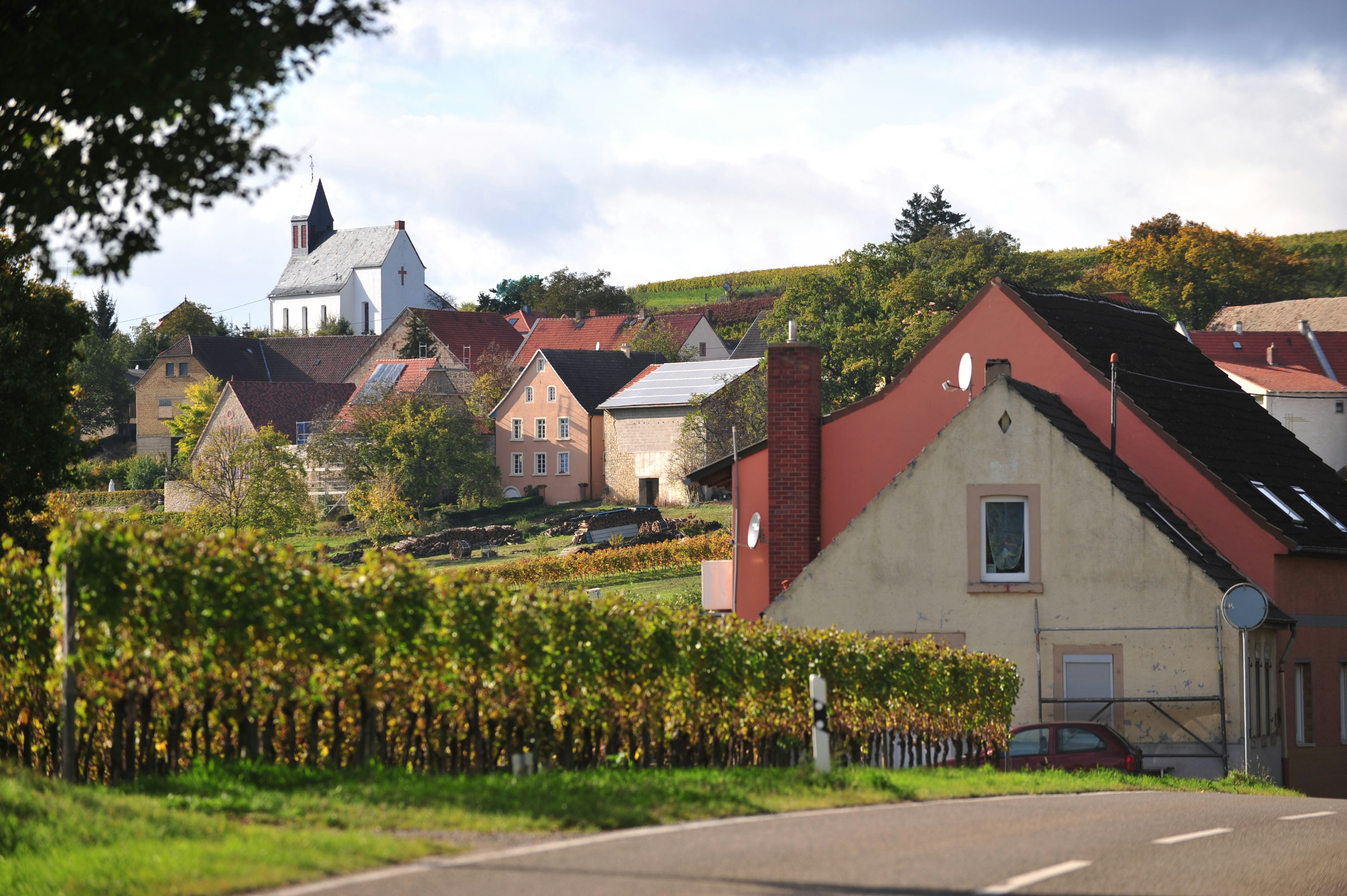 The picturesque town of Zell is shown with a strip of road in the immediate forground, followed by rows of grapevines just out of focus. Behind the vines are old brick houses with three rows of windows and black roofs, one with solar panels on top. Dominating the frame is a white church with a dark steeple far up on the hillside.