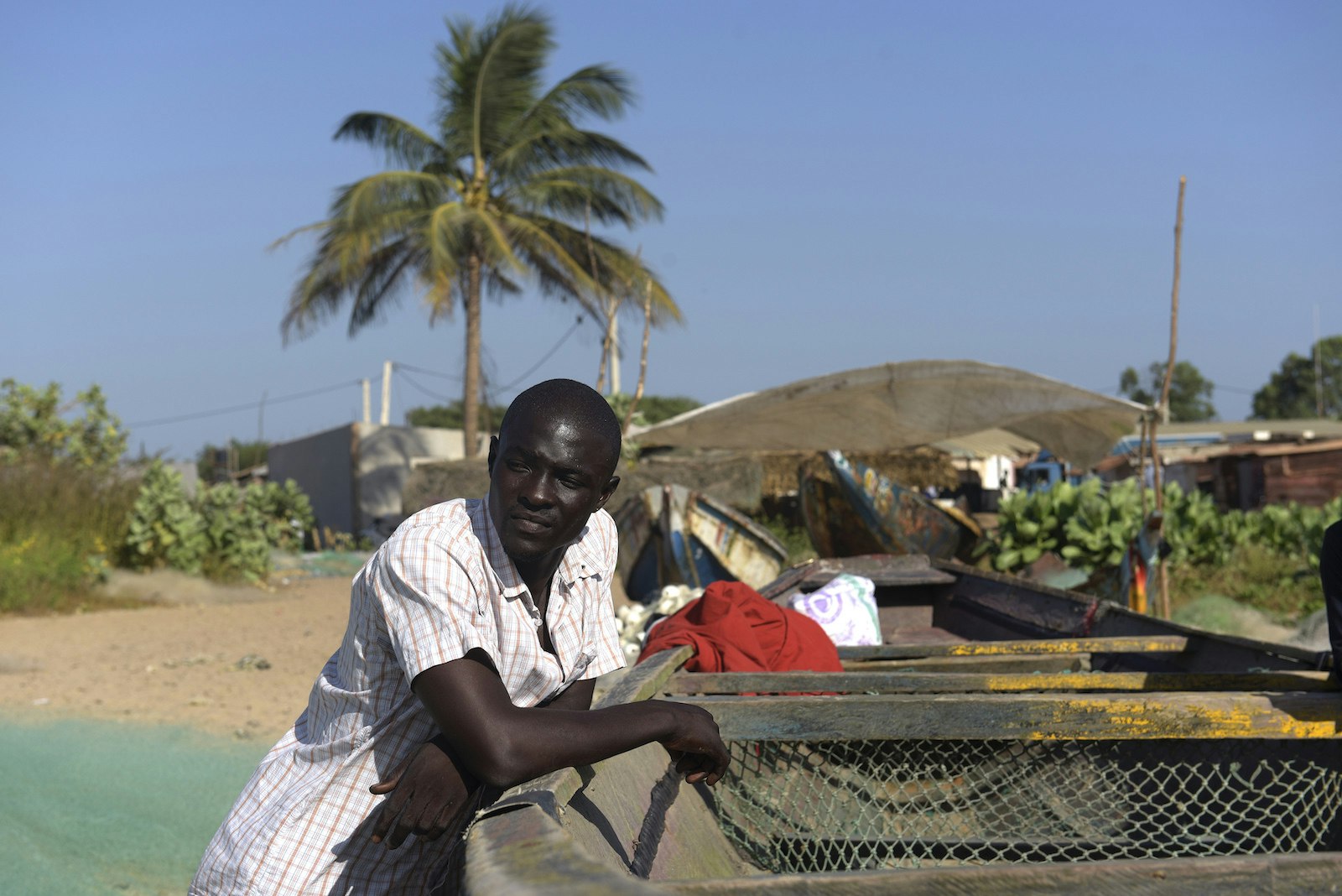 Gambian man poses next to a dugout with other colorful pirogues and a palm tree behind him