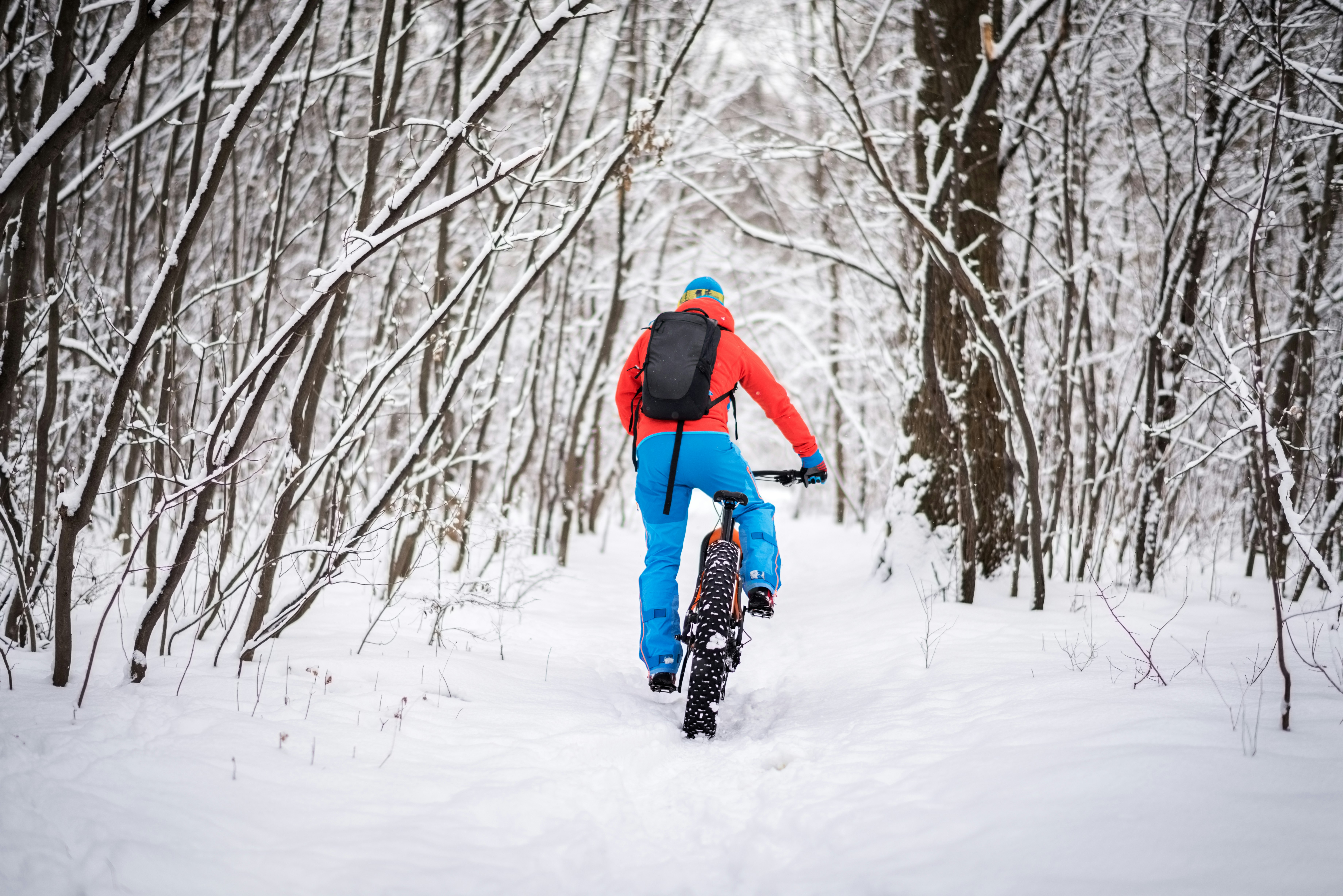 A man in bright blue snow pants, a red ski jacket, a black daypack, and a blue knit cap bikes through a new-growth forest blanketed with snow on a black bike with fat balloon tires designed for the powder.
