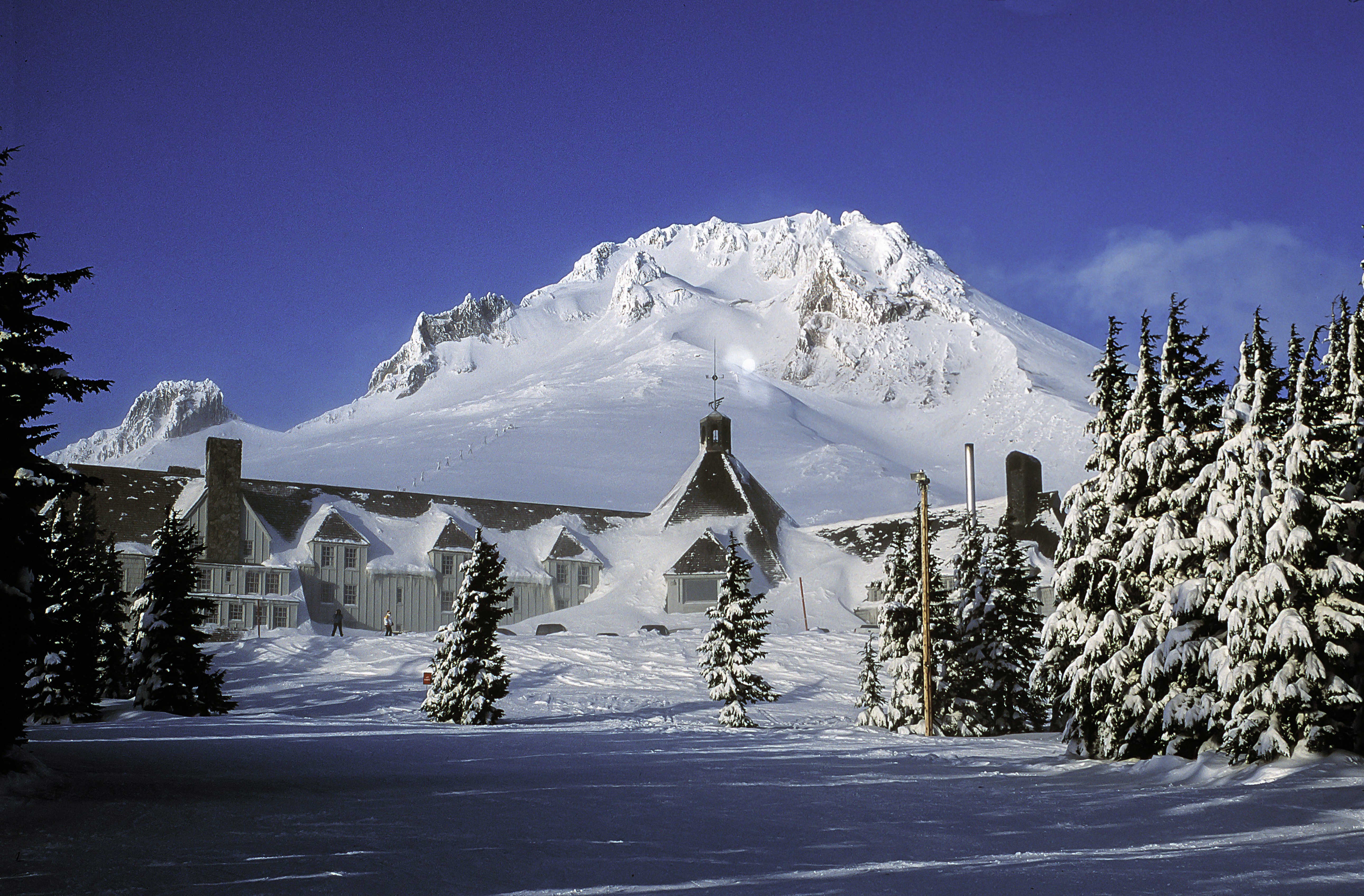 Snow blankets the peak of Mt. Hood, which is centered behind the L-shaped Timberline Lodge, which almost blends into the landscape from how the snow piles around its walls and central roof. Pine trees in the foreground are also loaded with snow.