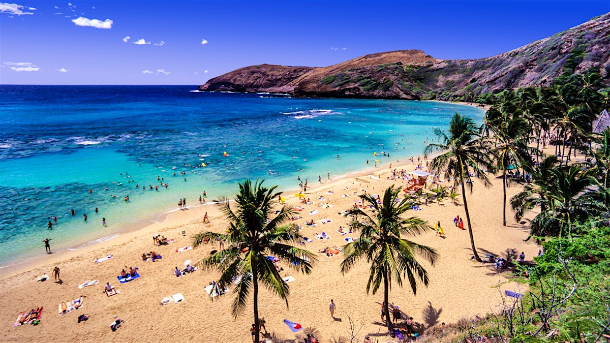 Hit O‘ahu’s highlights on a day trip from Waikiki - Lonely Planet