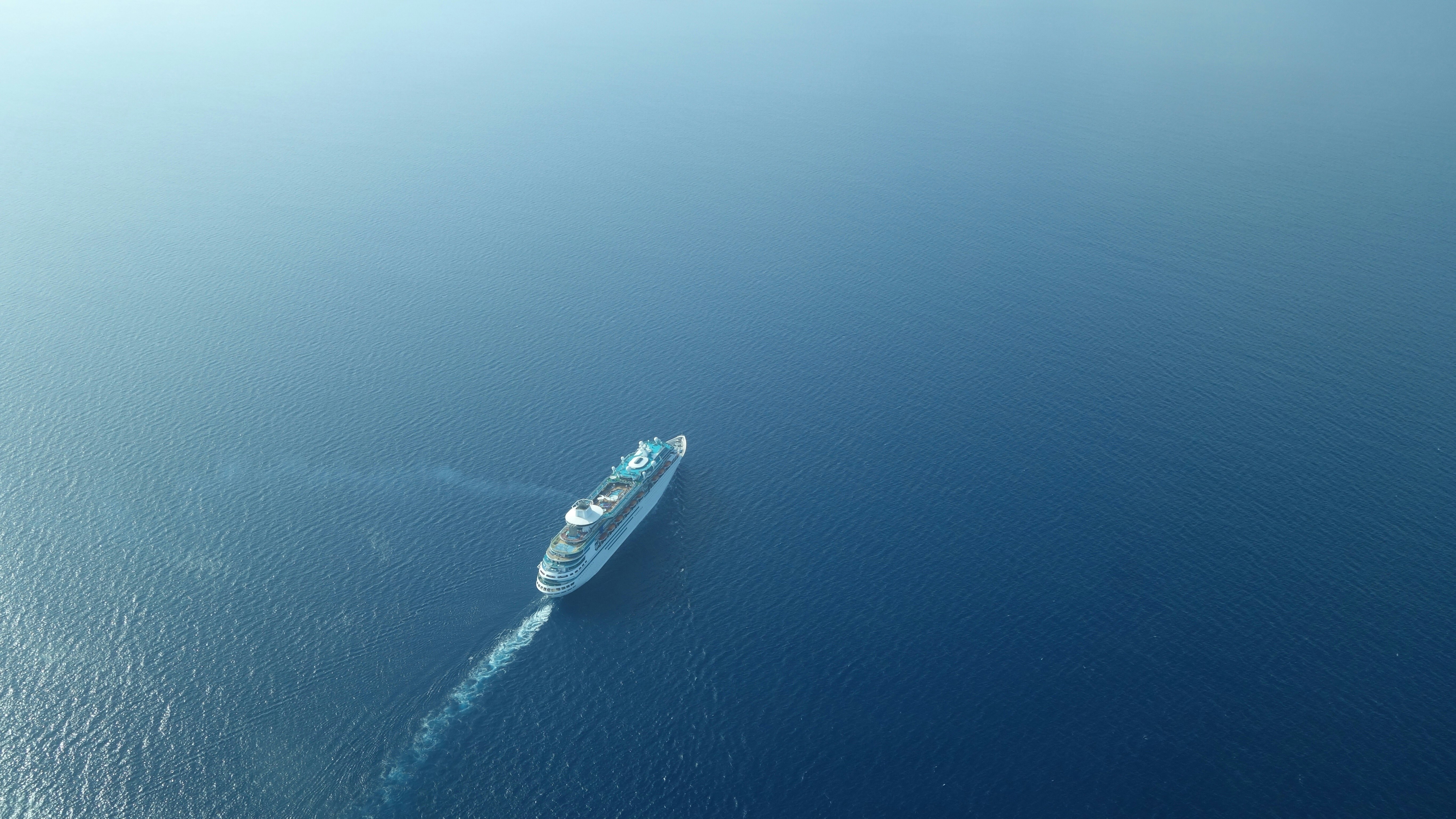 A cruise ship sails along the sea. 