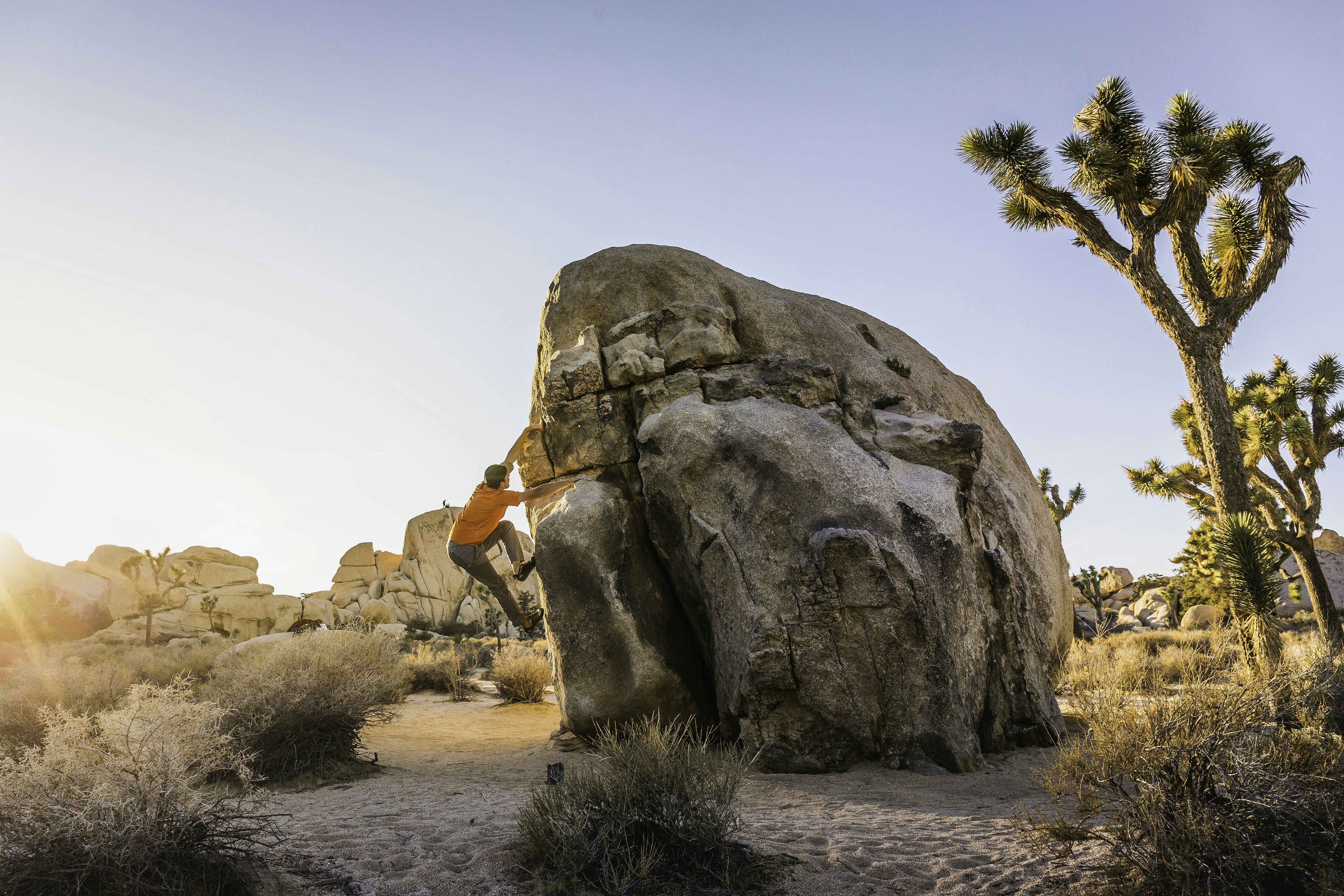 A man in olive shorts and a bright orange t-shirt climbs one of the large, rounded boulders that make up Jumbo Rocks in Joshua Tree National Park.