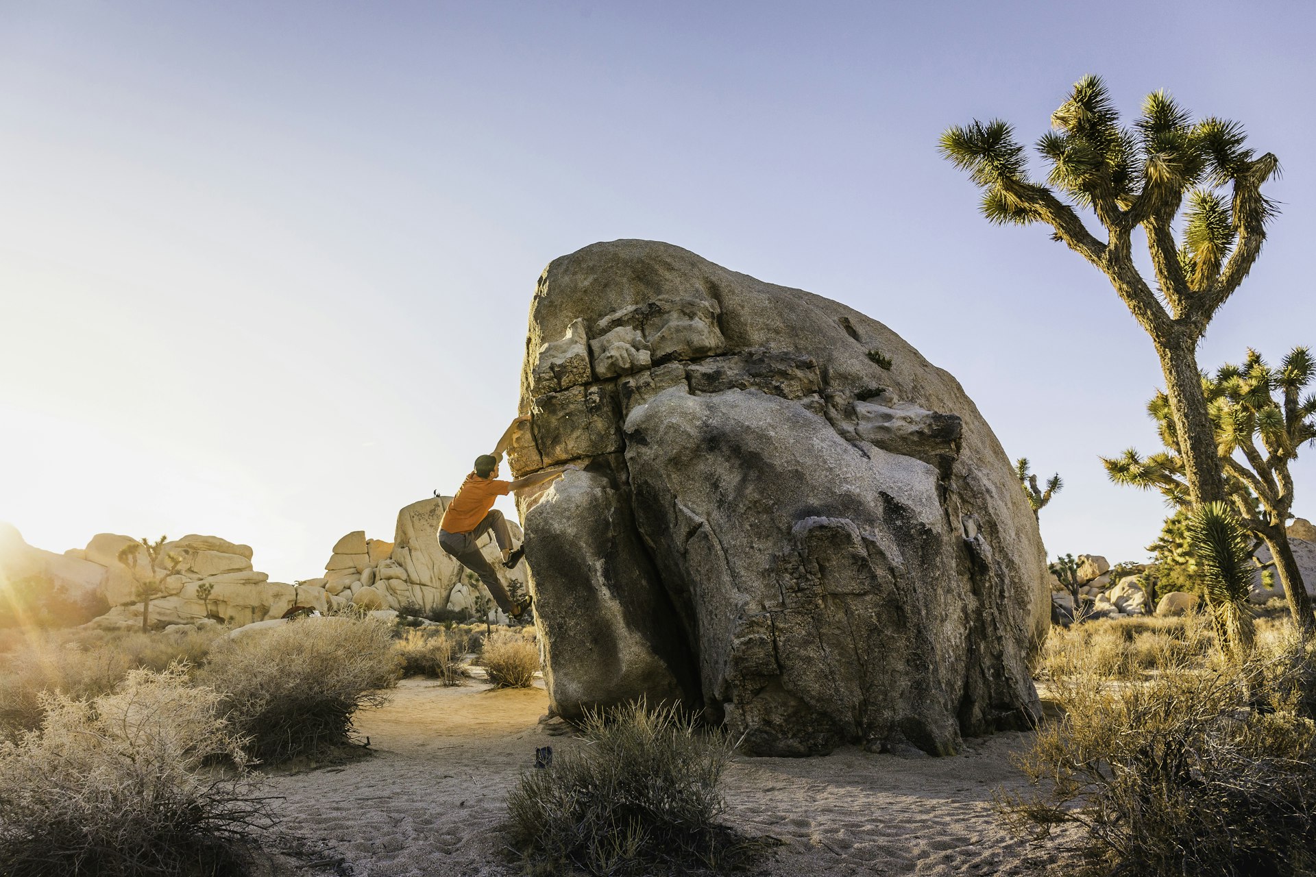 A man in olive shorts and a bright orange t-shirt climbs one of the large, rounded boulders that make up Jumbo Rocks in Joshua Tree National Park.
