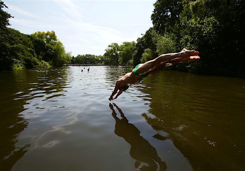 A man dives into Hampstead Ponds in London. A few people swim in the waters of the pond, which is surrounded by greenery.