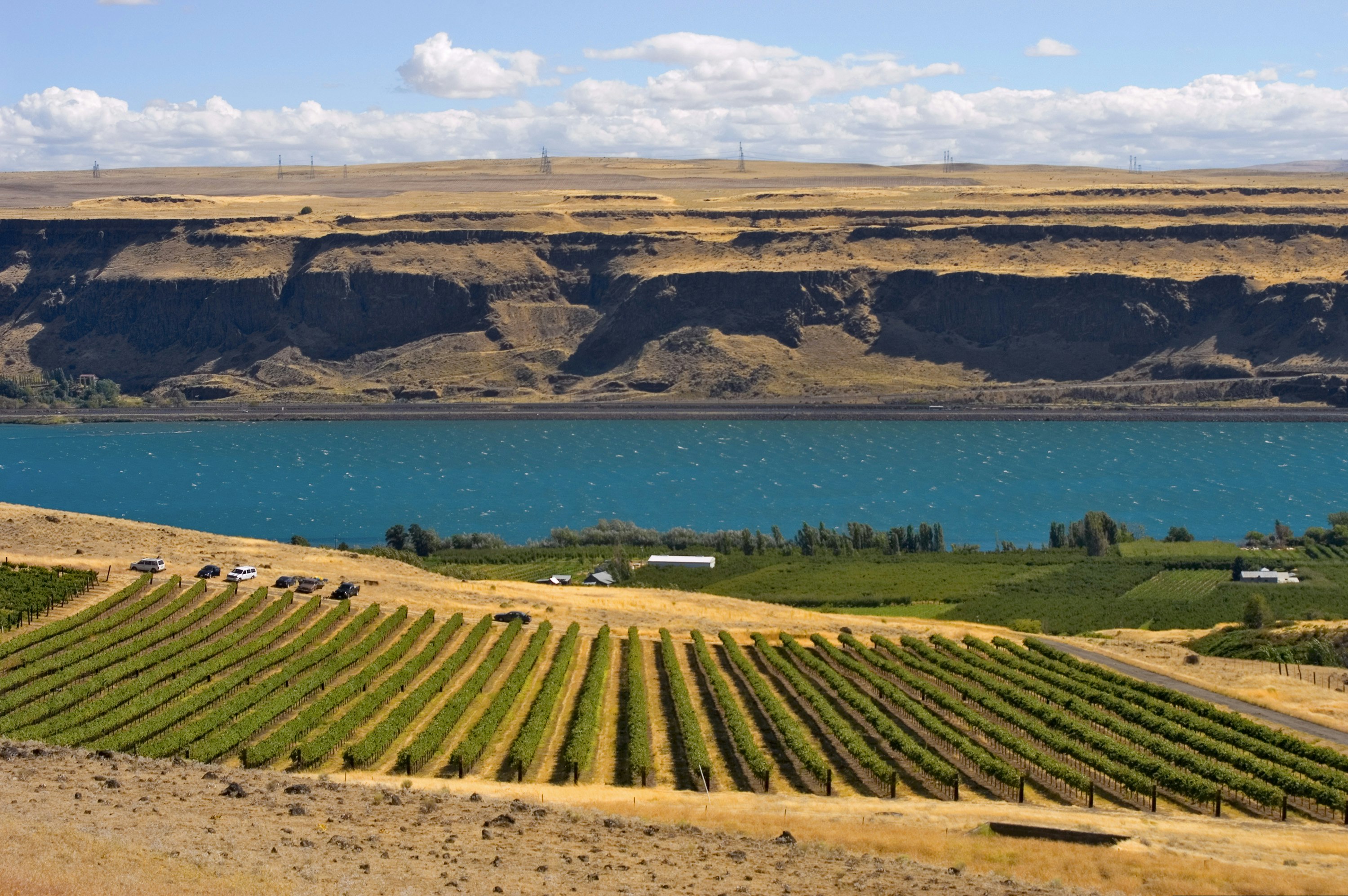 The bright cerulean blue stripe of the Columbia River forms the middle ground of this photo, while the foreground is made up of bright tan grasslands interrupted by green rows of grape vines running perpendicular to the river. In the background are the high bluffs on the opposite Oregon bank.