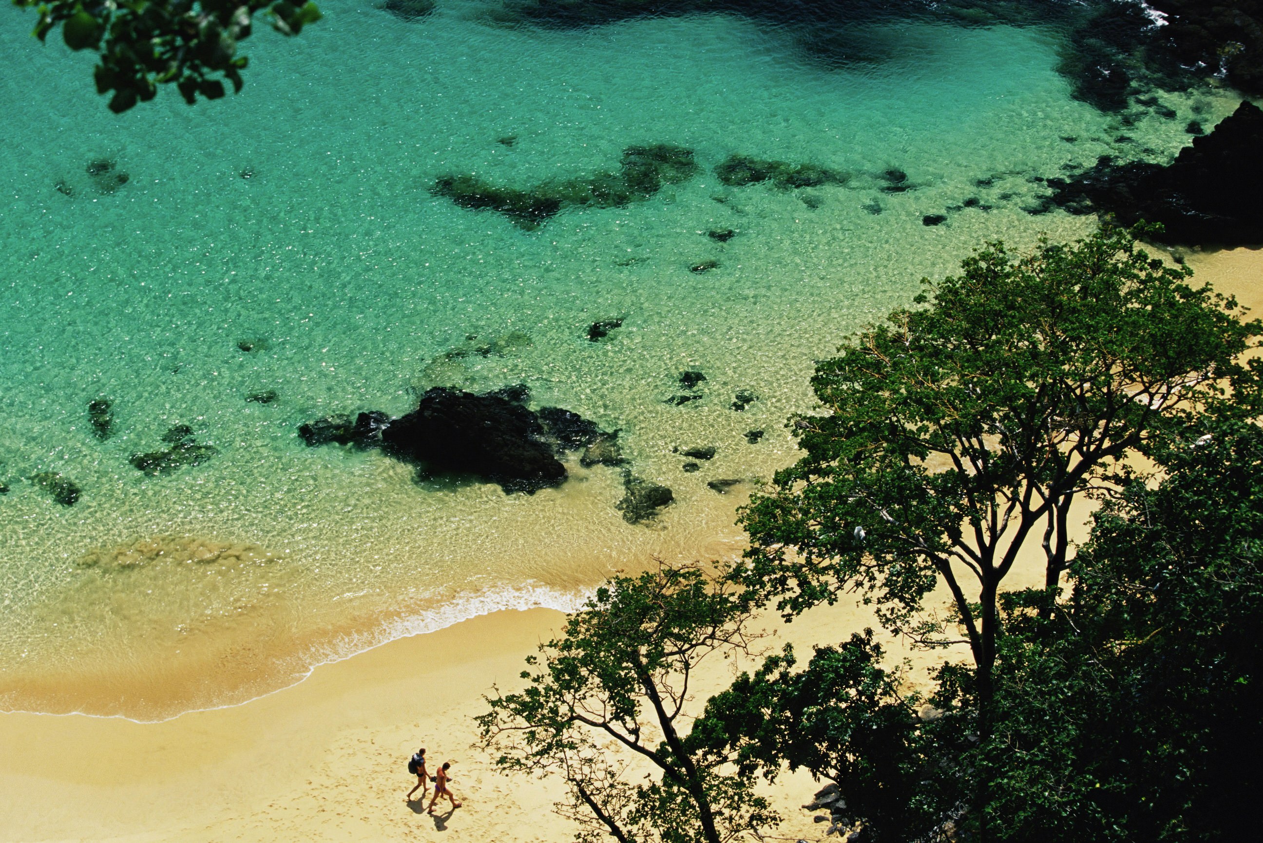 View looking down onto a beach, which is partially obscured by lush green trees. Two people can be seen walking together along the golden sands, as crystal clear, turquoise  waters lap the shore.