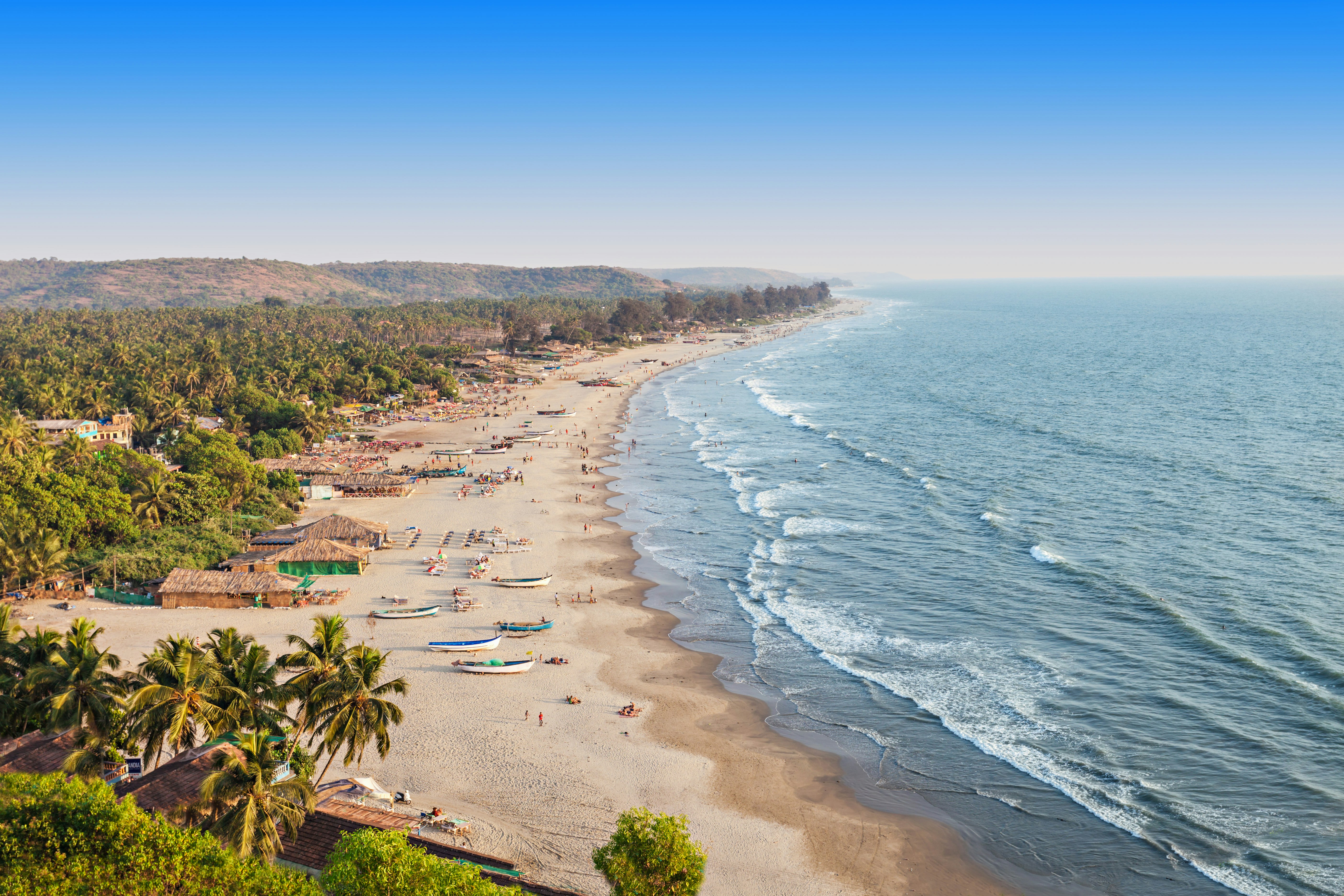 High-angle view of Arambol beach: a white stretch of sand being lapped by waves and backed by palm tress. On the sand a number of people sunbathe and a handful of colourful fishing boats also line the shore.