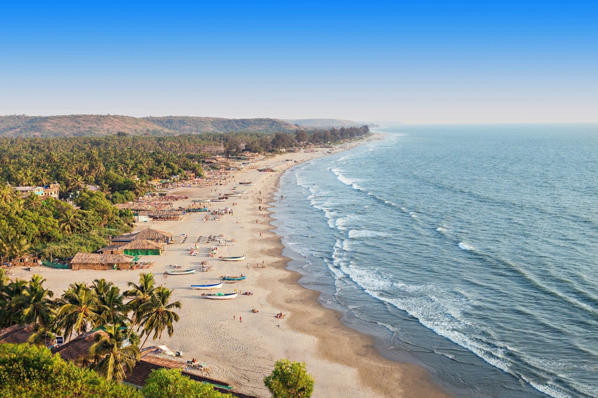 High-angle view of Arambol beach: a white stretch of sand being lapped by waves and backed by palm tress. On the sand a number of people sunbathe and a handful of colorful fishing boats also line the shore.