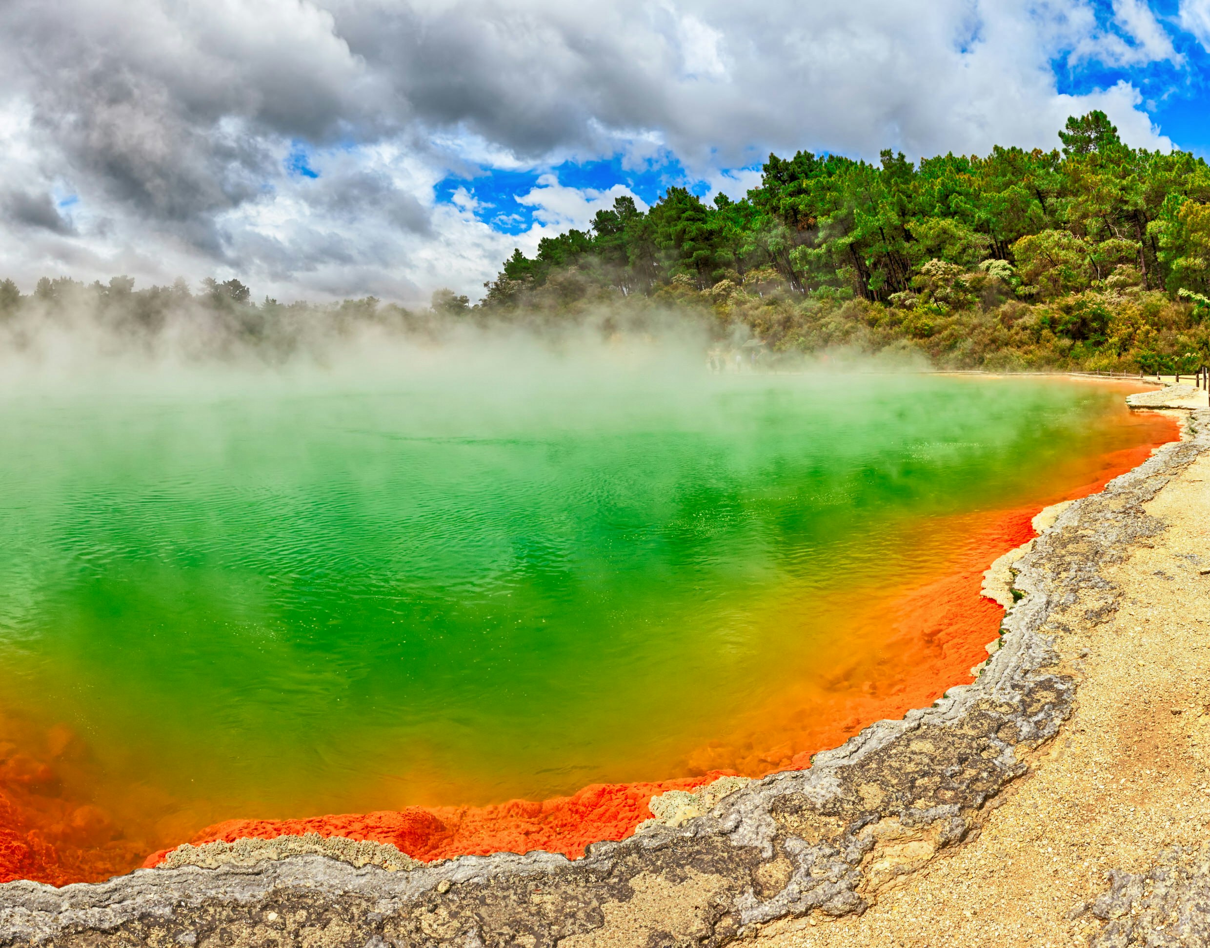 Steam rises from a geothermal pool. The bank of the pool is rocky, and the water appears to graduate in colour from orange through to green, an illusion due to the colour of the bed of the pool. In the background is a small hillock of trees and bushes.