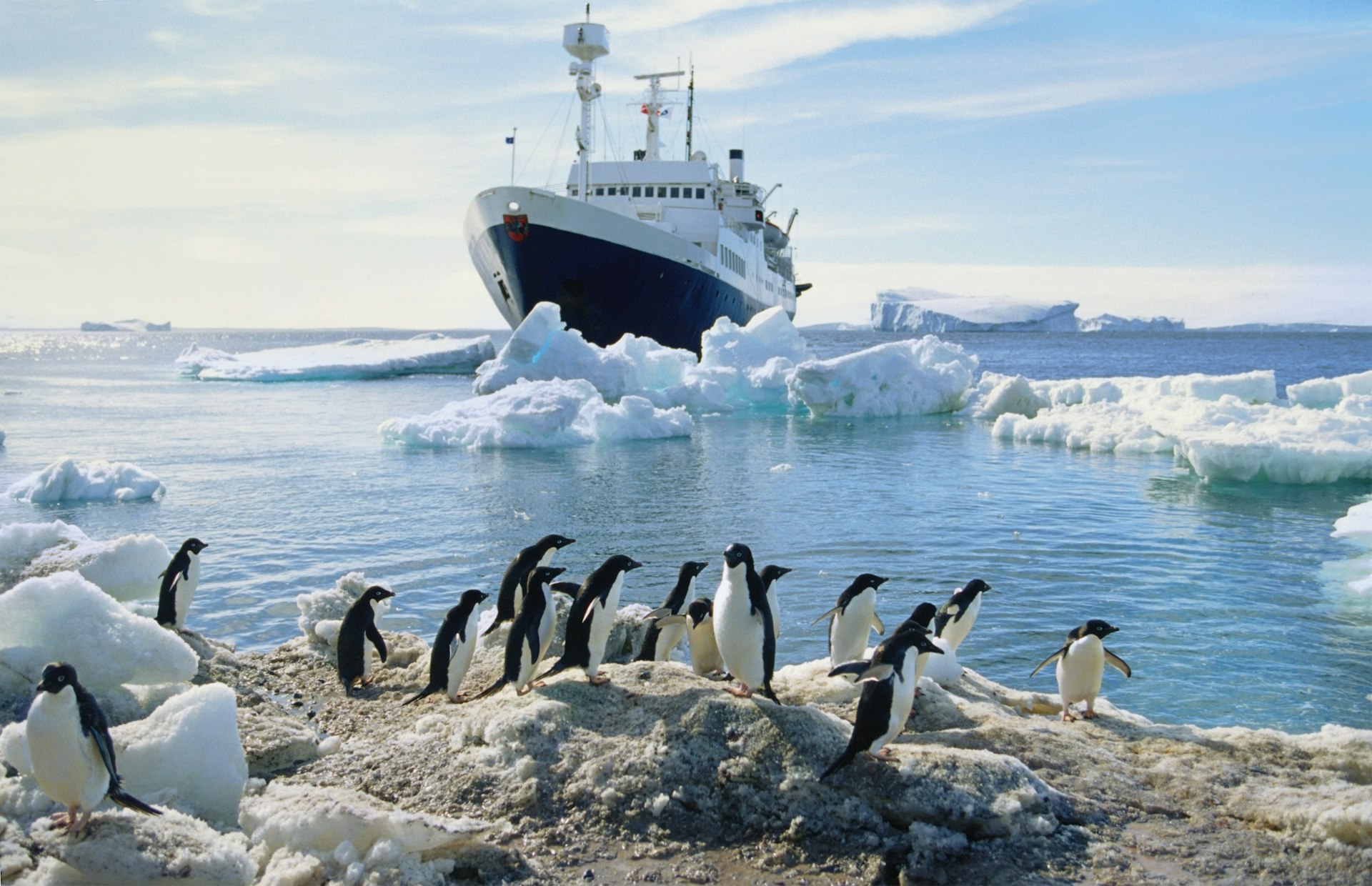 A group of penguins huddle on a patch of rock in Antarctica while a cruise ships looms large in the background. Both the ship and penguins are surrounded by icebergs.