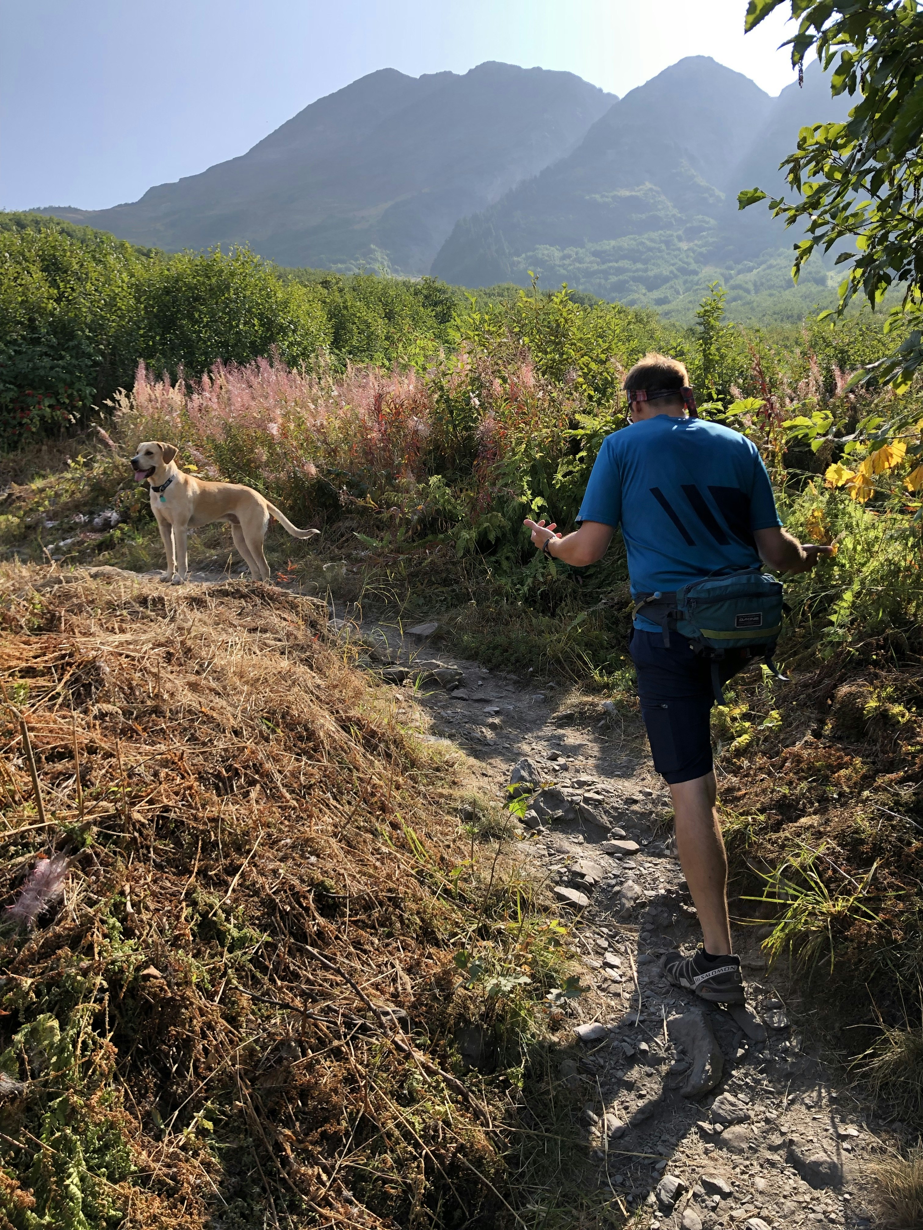 A dog and its owner walk on a trail near Girdwood, Alaska