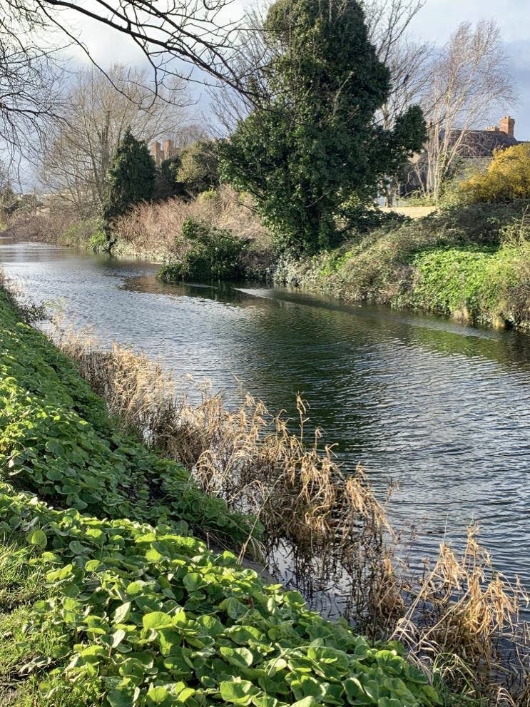 Grand Canal in Dublin
