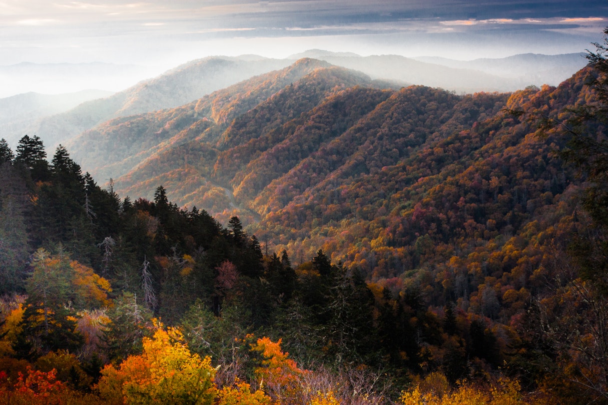 The sun rises on the changing leaves in the Great Smoky Mountains