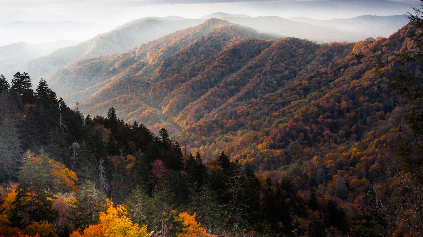 The sun rises on the changing leaves in the Great Smoky Mountains