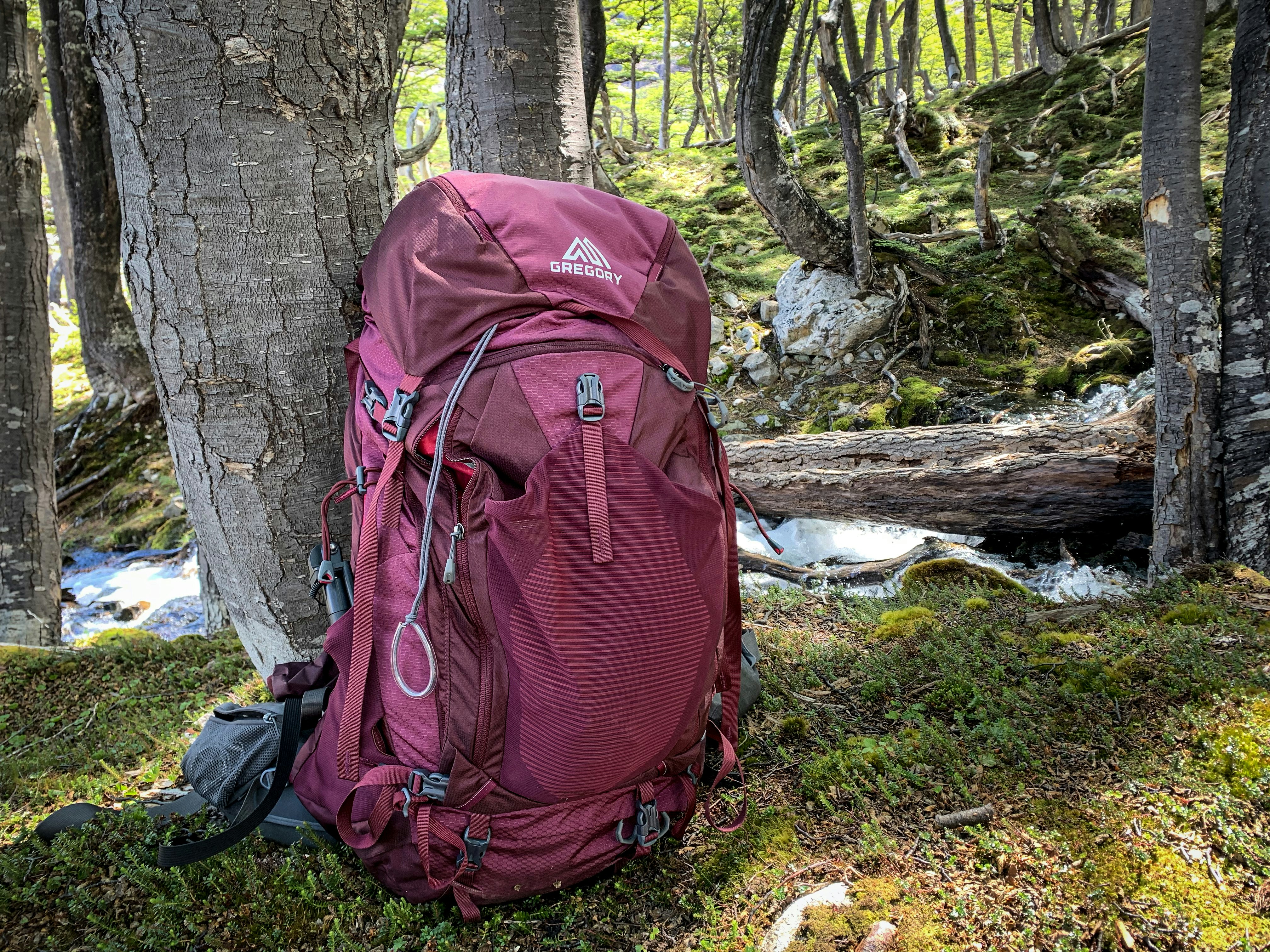 A purple backpack leaning against a tree in a forest