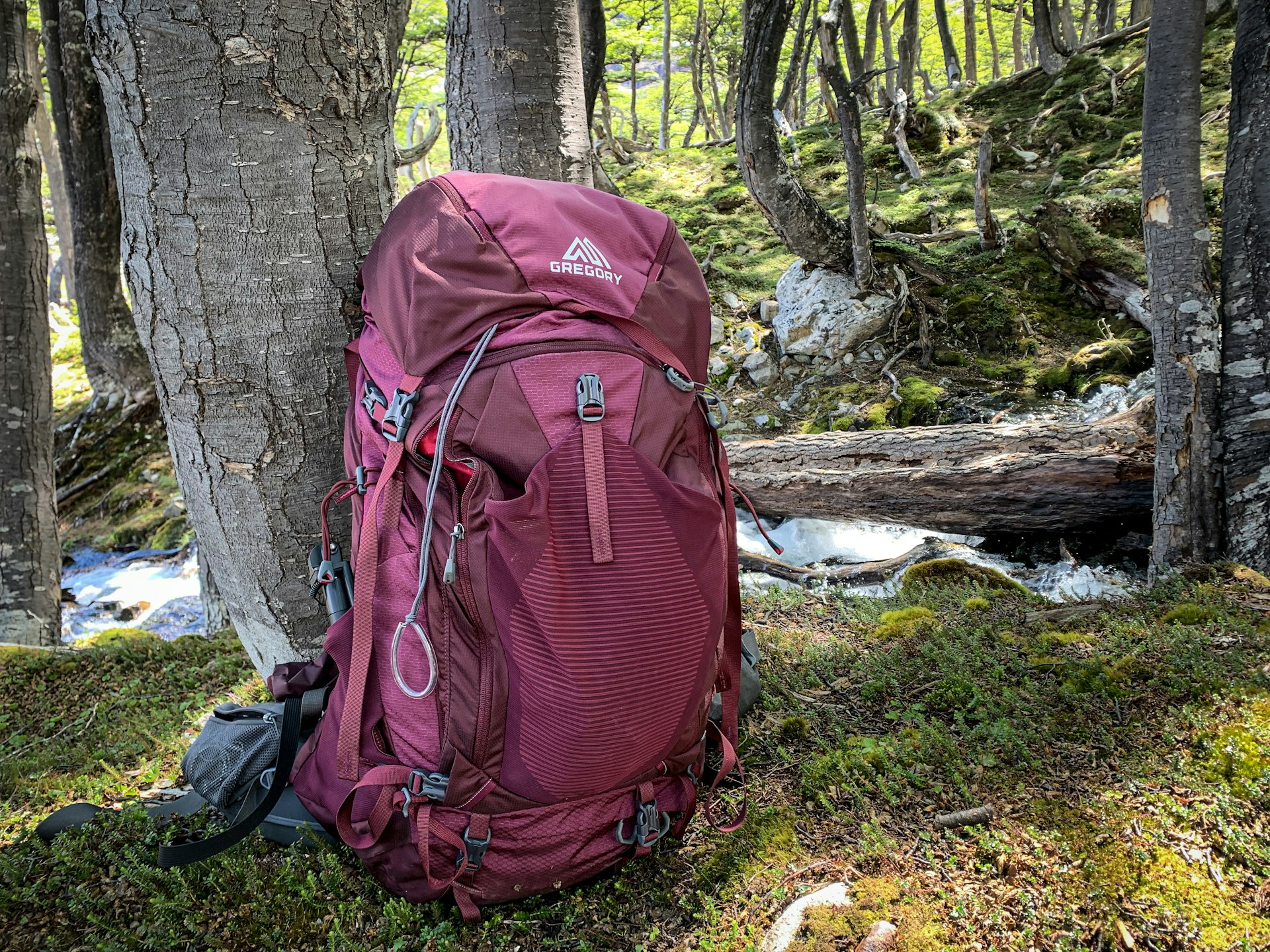 A purple backpack leaning against a tree in a forest