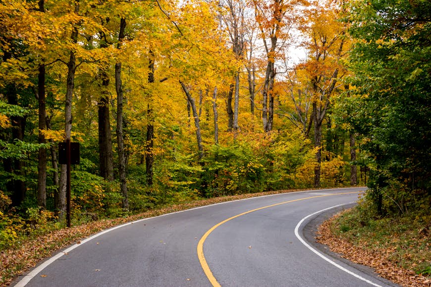 Yellow leaves surround a winding road in Massacusetts; New England fall foliage road trip